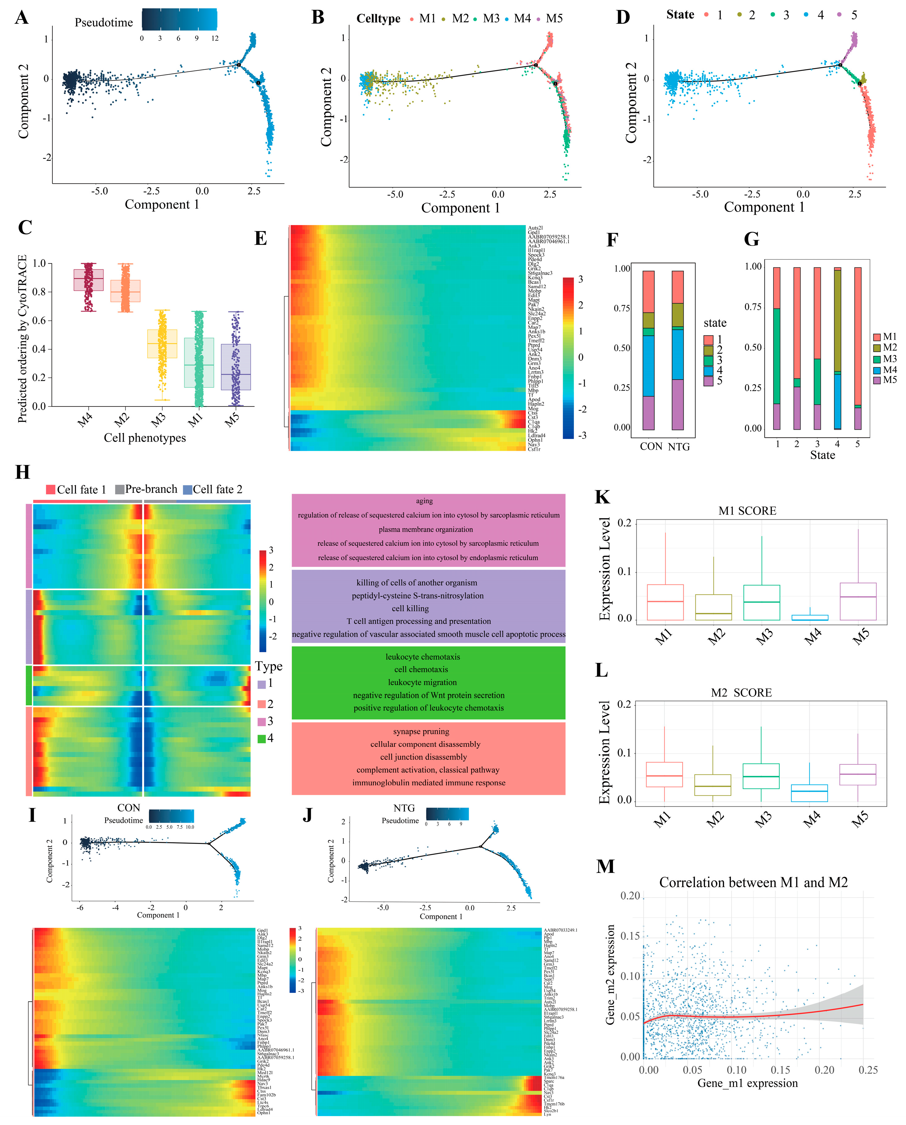 Biomolecules 15 00942 g004