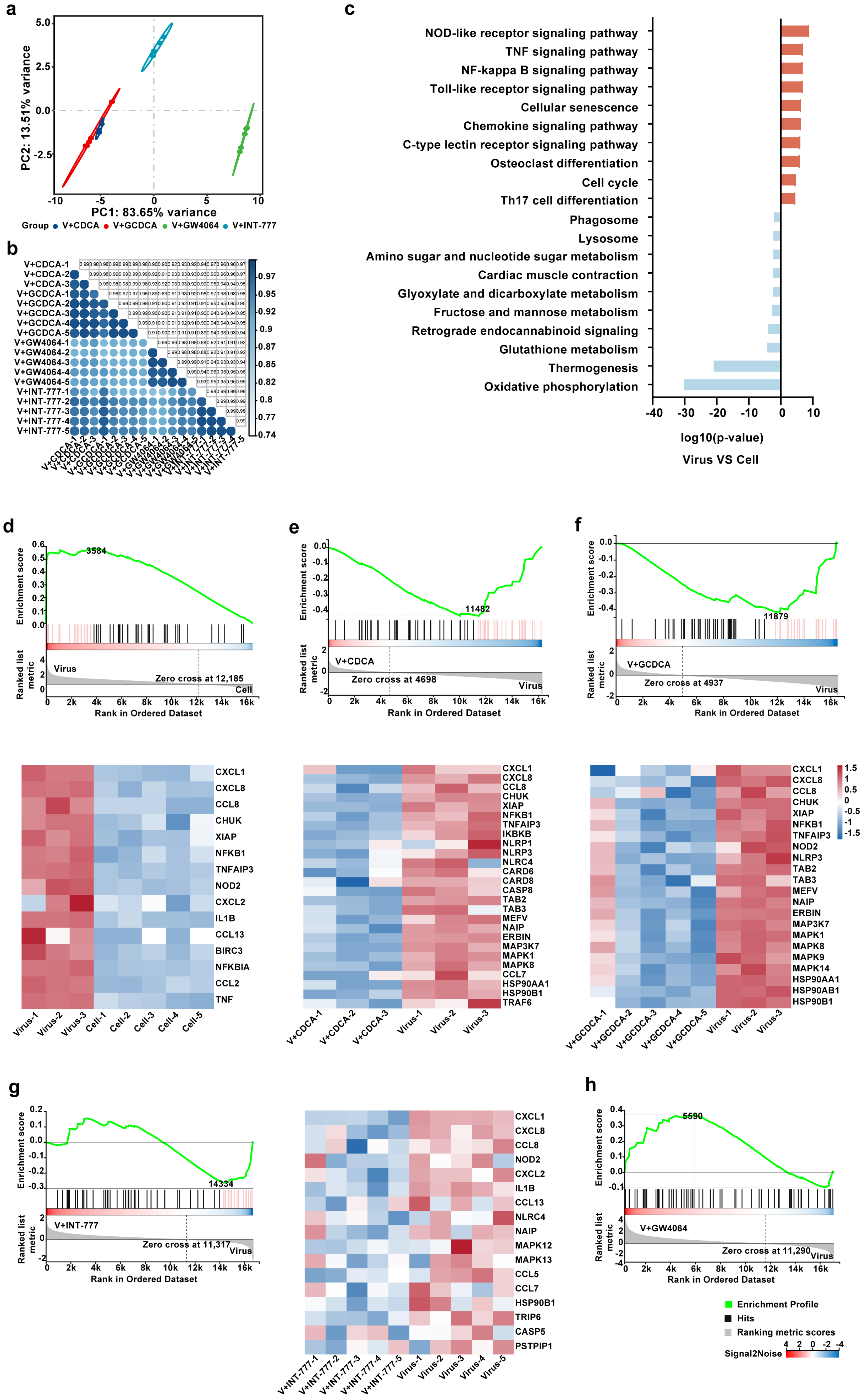 Biomolecules 15 00943 g005