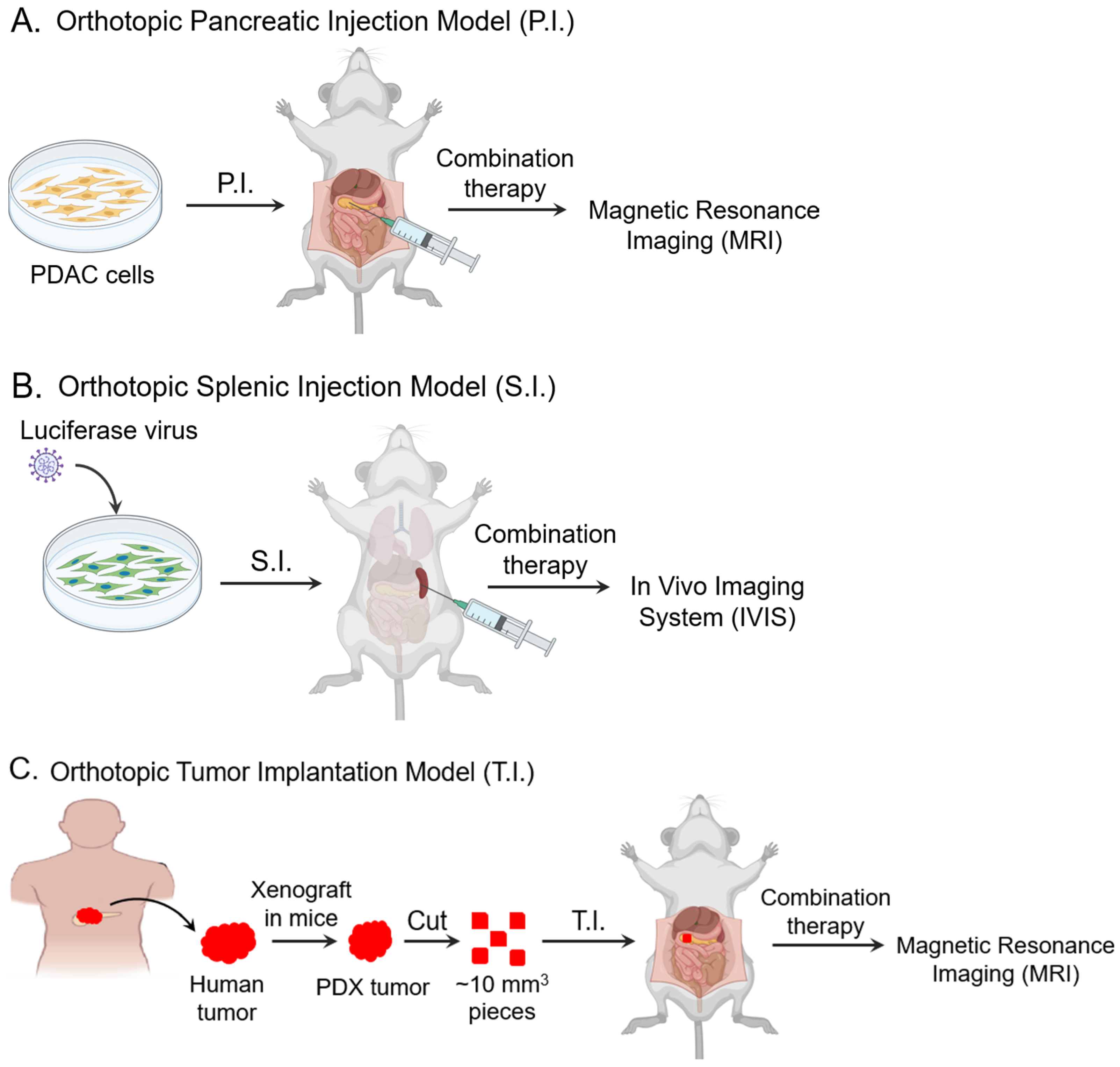 Biomolecules 15 00948 g001 Biomolecules 15 00948 g001