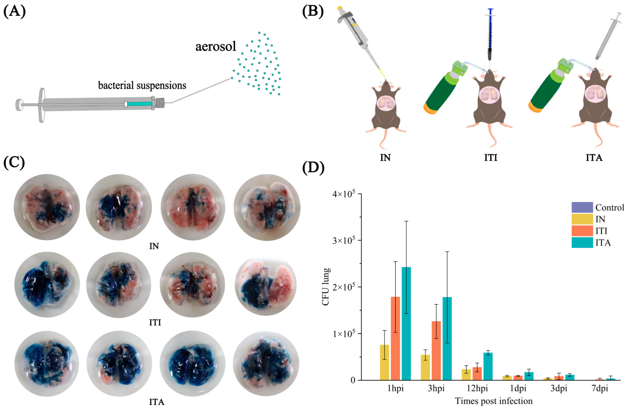 Biomolecules 15 00950 g001 Biomolecules 15 00950 g001