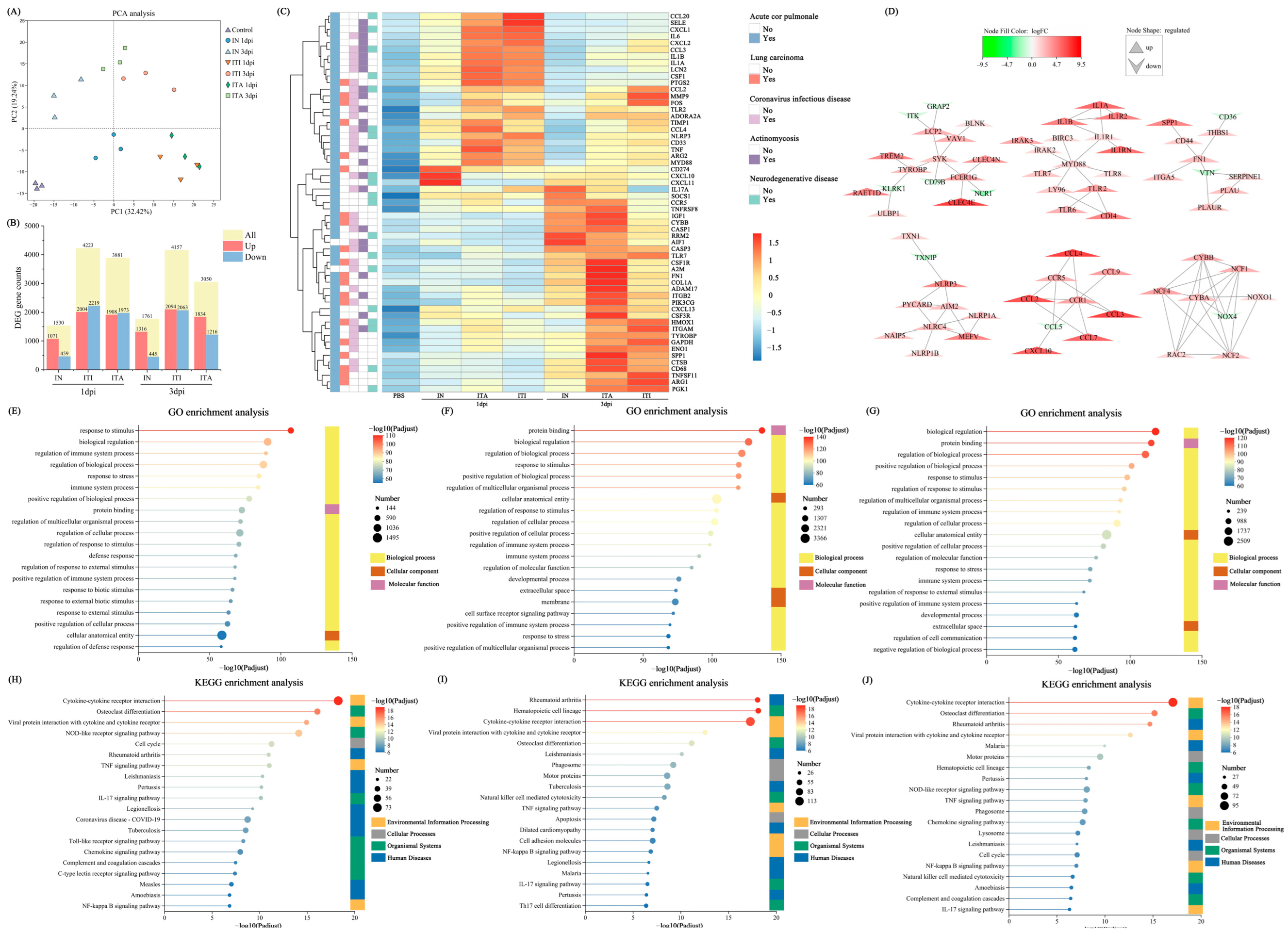 Biomolecules 15 00950 g005 Biomolecules 15 00950 g005