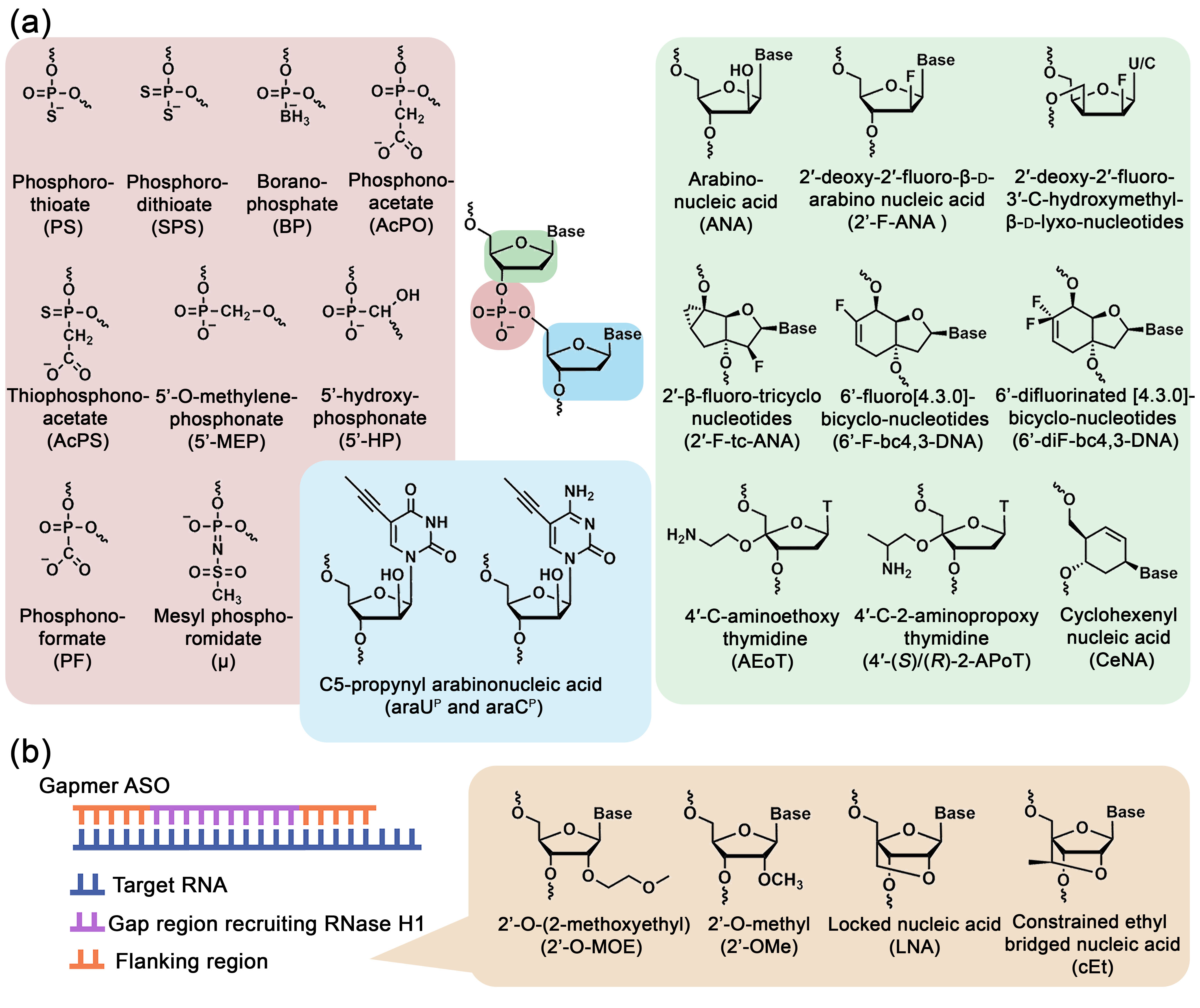 Biomolecules 15 00965 g002