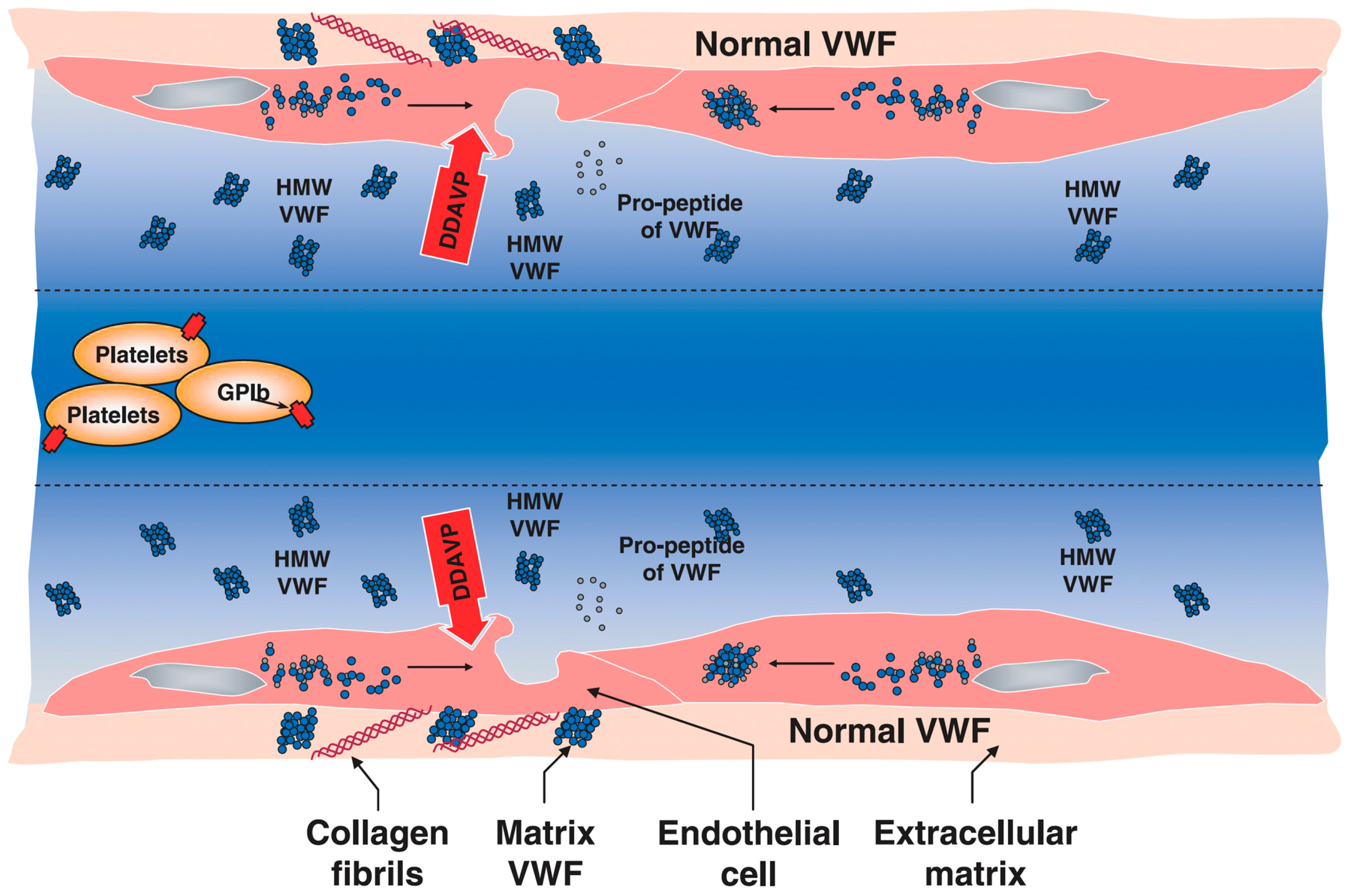 Biomolecules 15 00967 g002