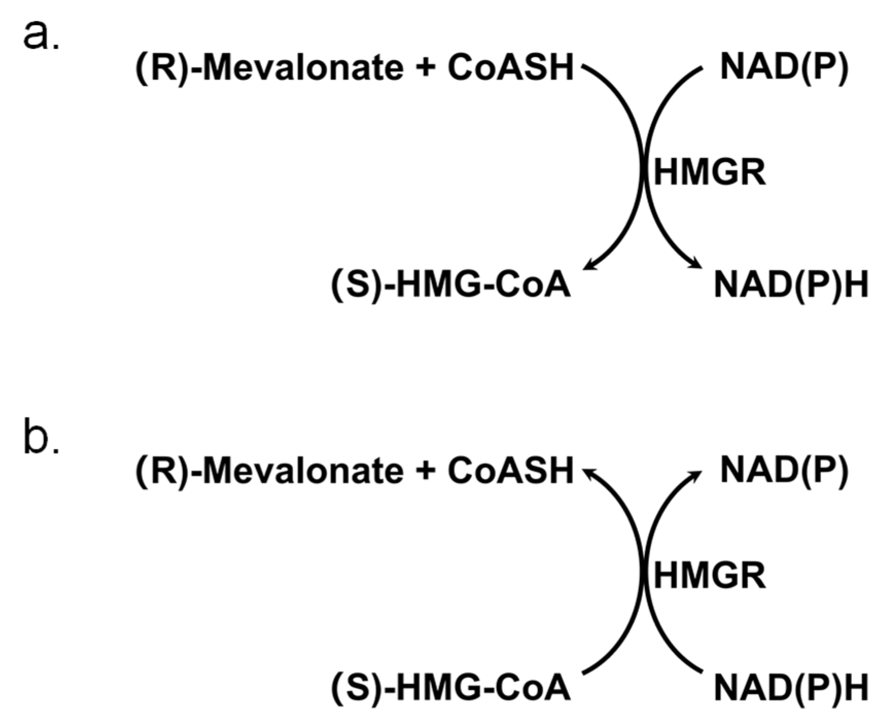 Biomolecules 15 00976 g001 Biomolecules 15 00976 g001