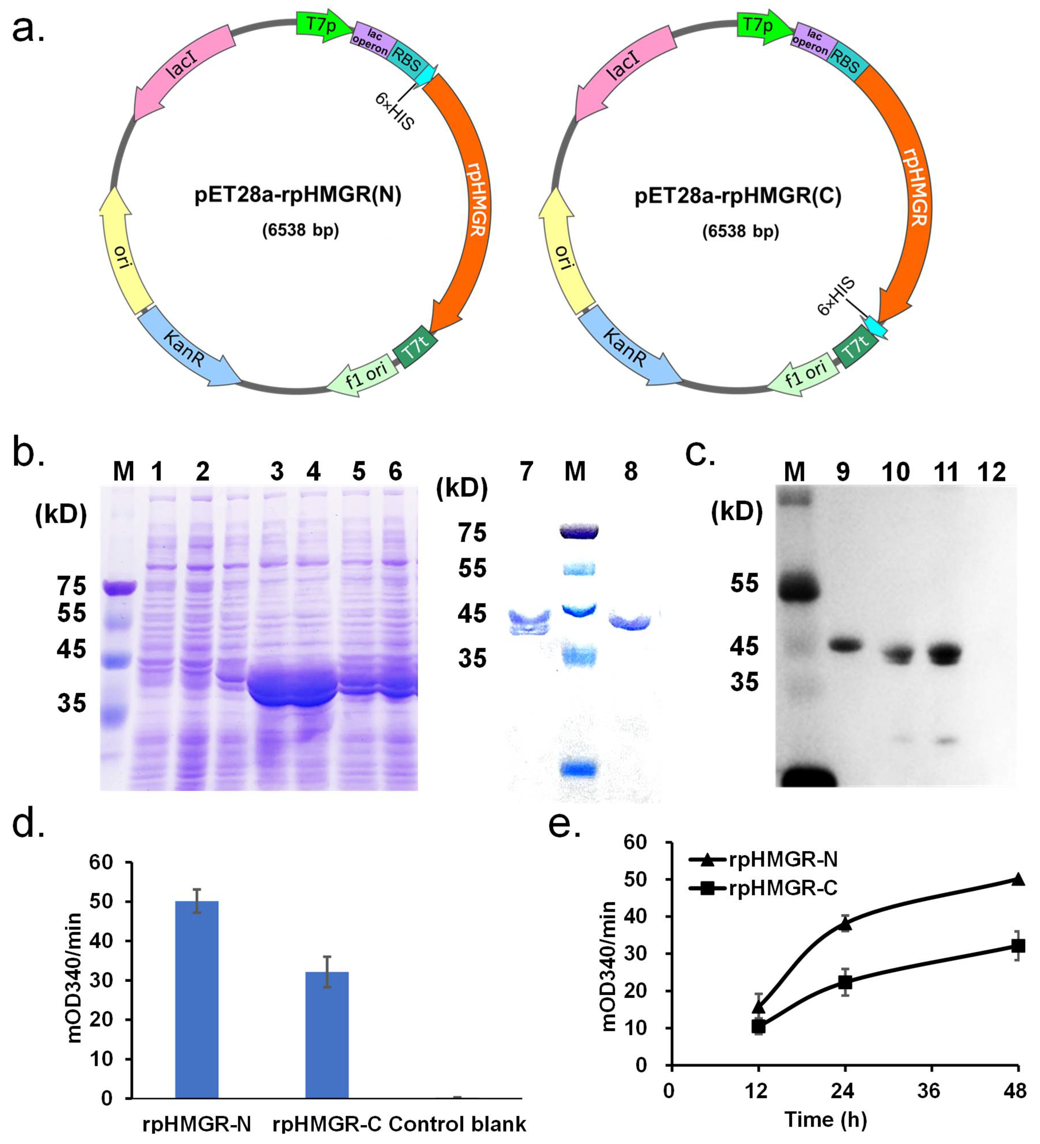 Biomolecules 15 00976 g002 Biomolecules 15 00976 g002