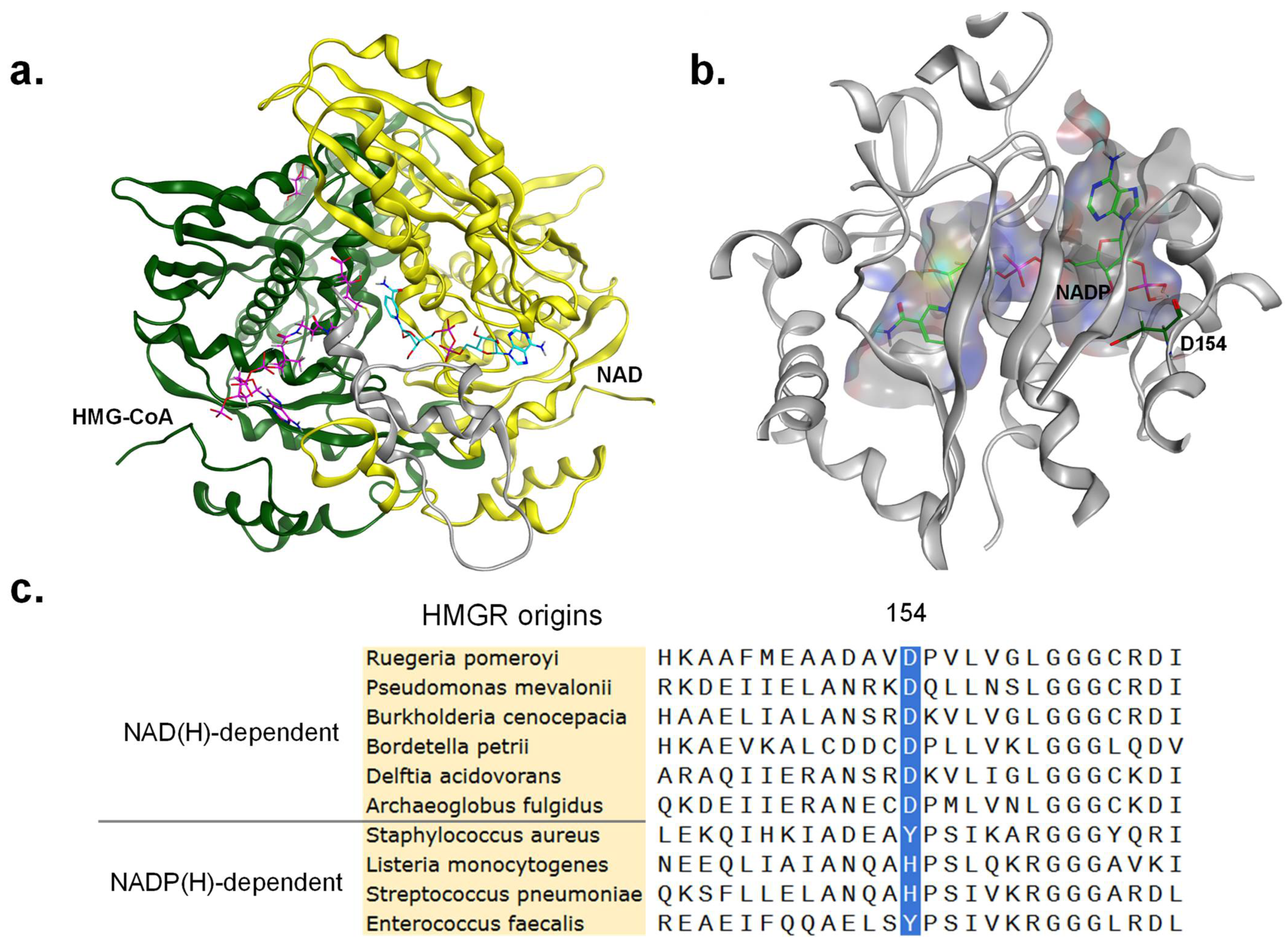 Biomolecules 15 00976 g003 Biomolecules 15 00976 g003
