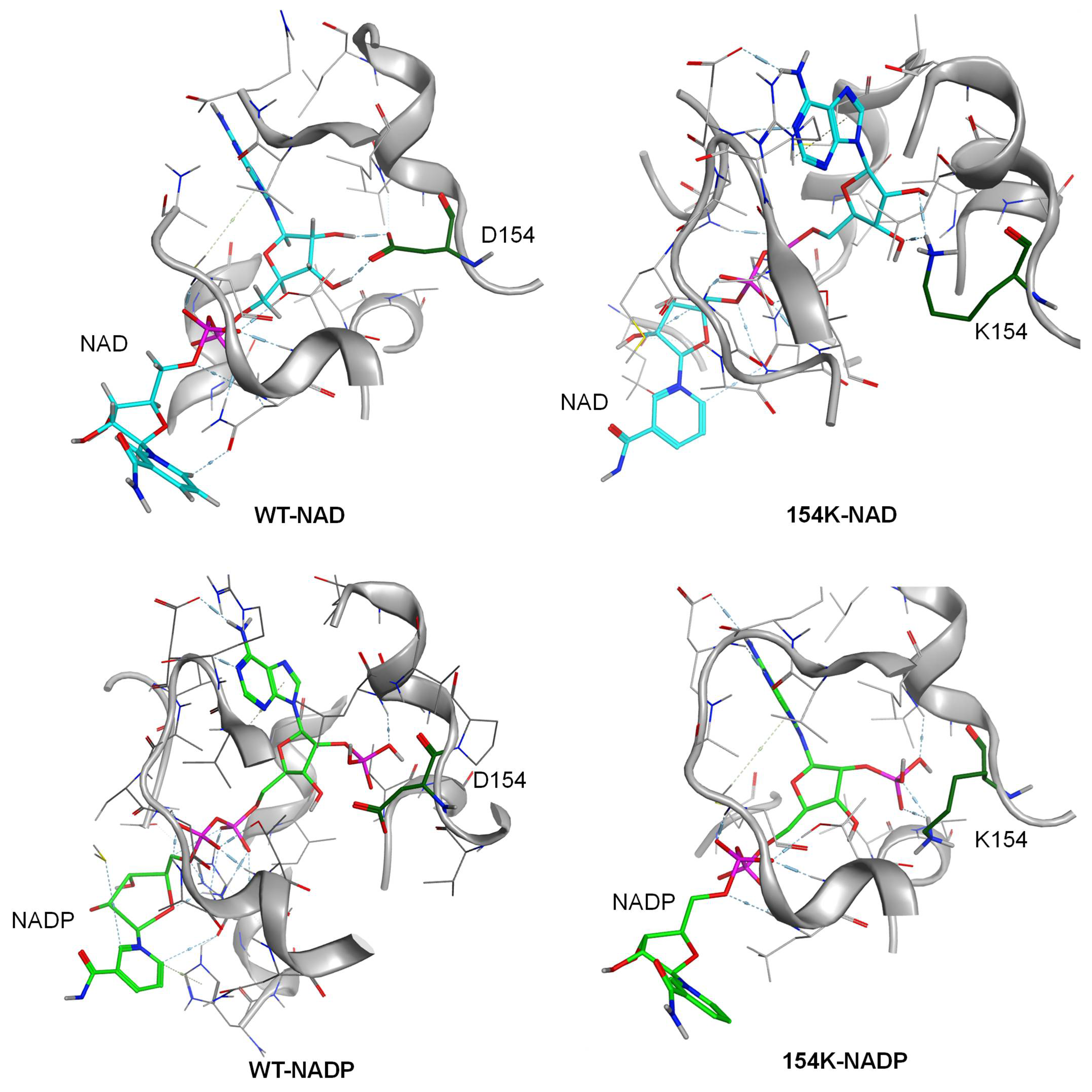 Biomolecules 15 00976 g004 Biomolecules 15 00976 g004
