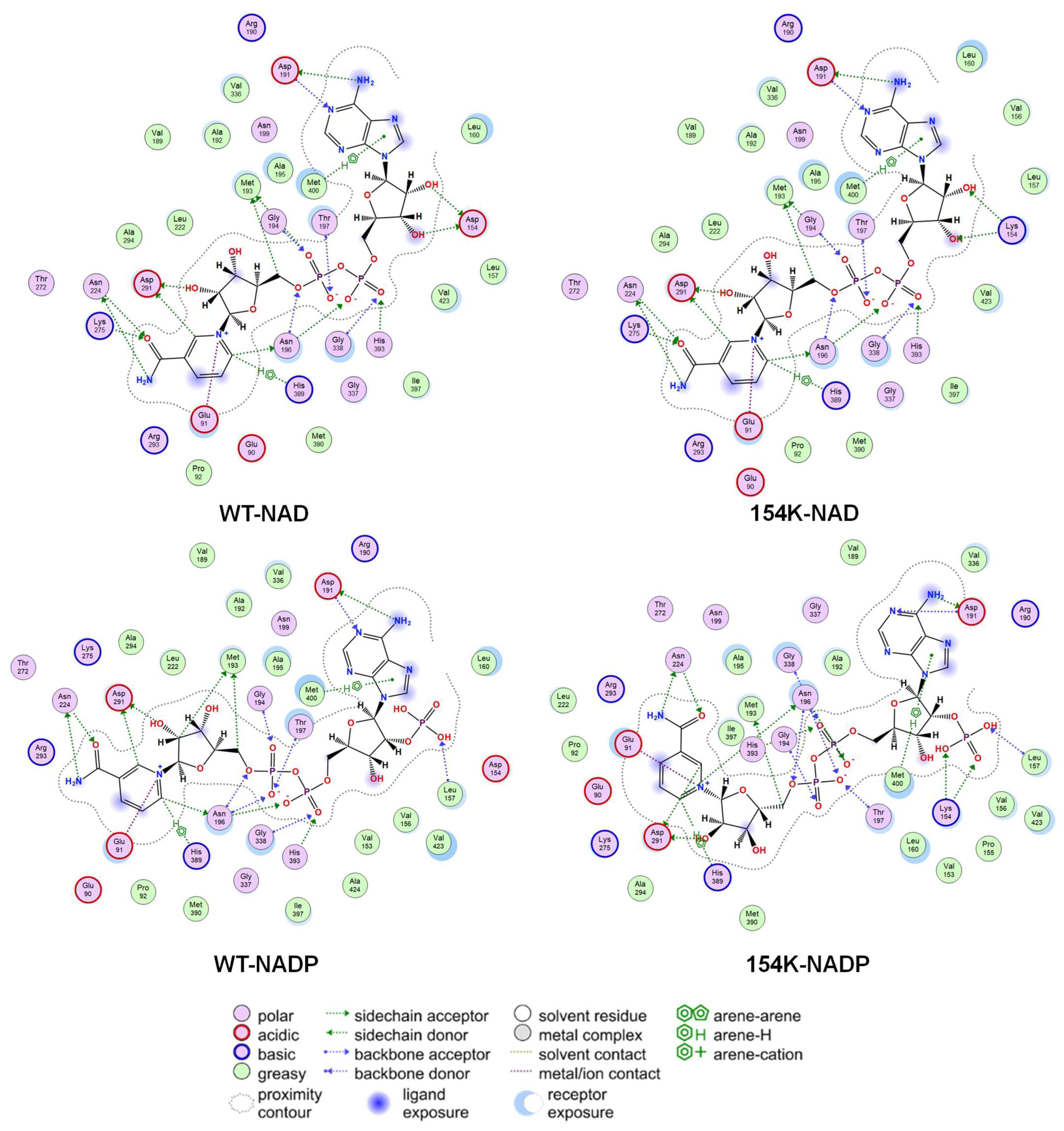 Biomolecules 15 00976 g006 Biomolecules 15 00976 g006