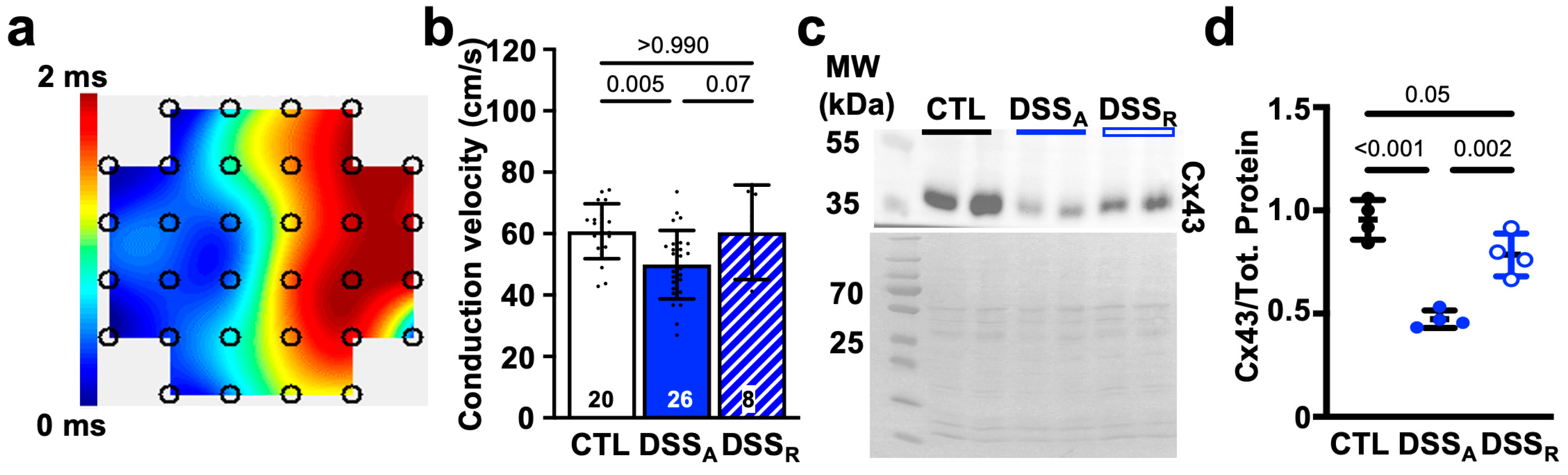 Biomolecules 15 00982 g002