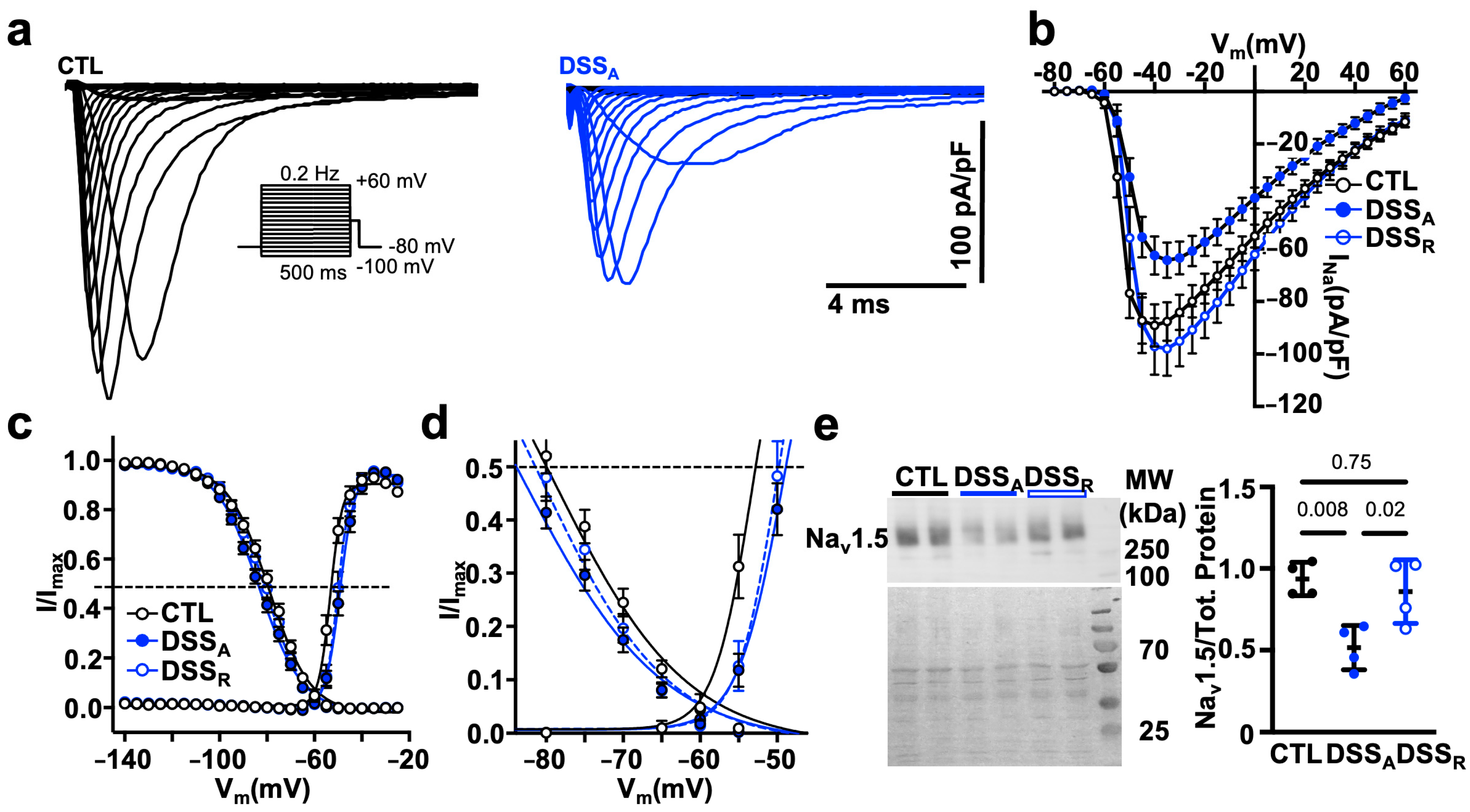 Biomolecules 15 00982 g004