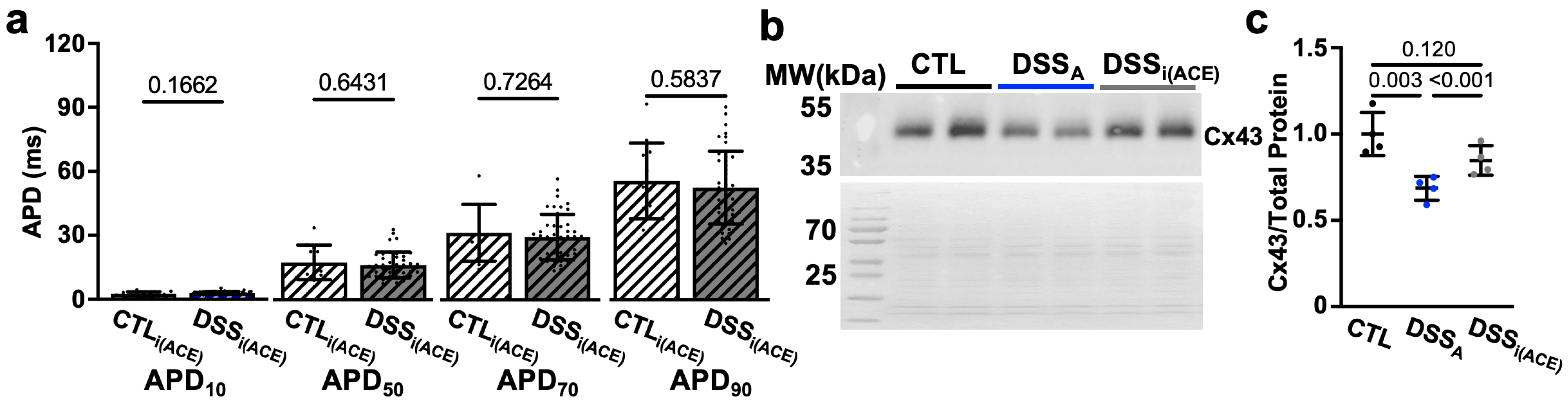 Biomolecules 15 00982 g009