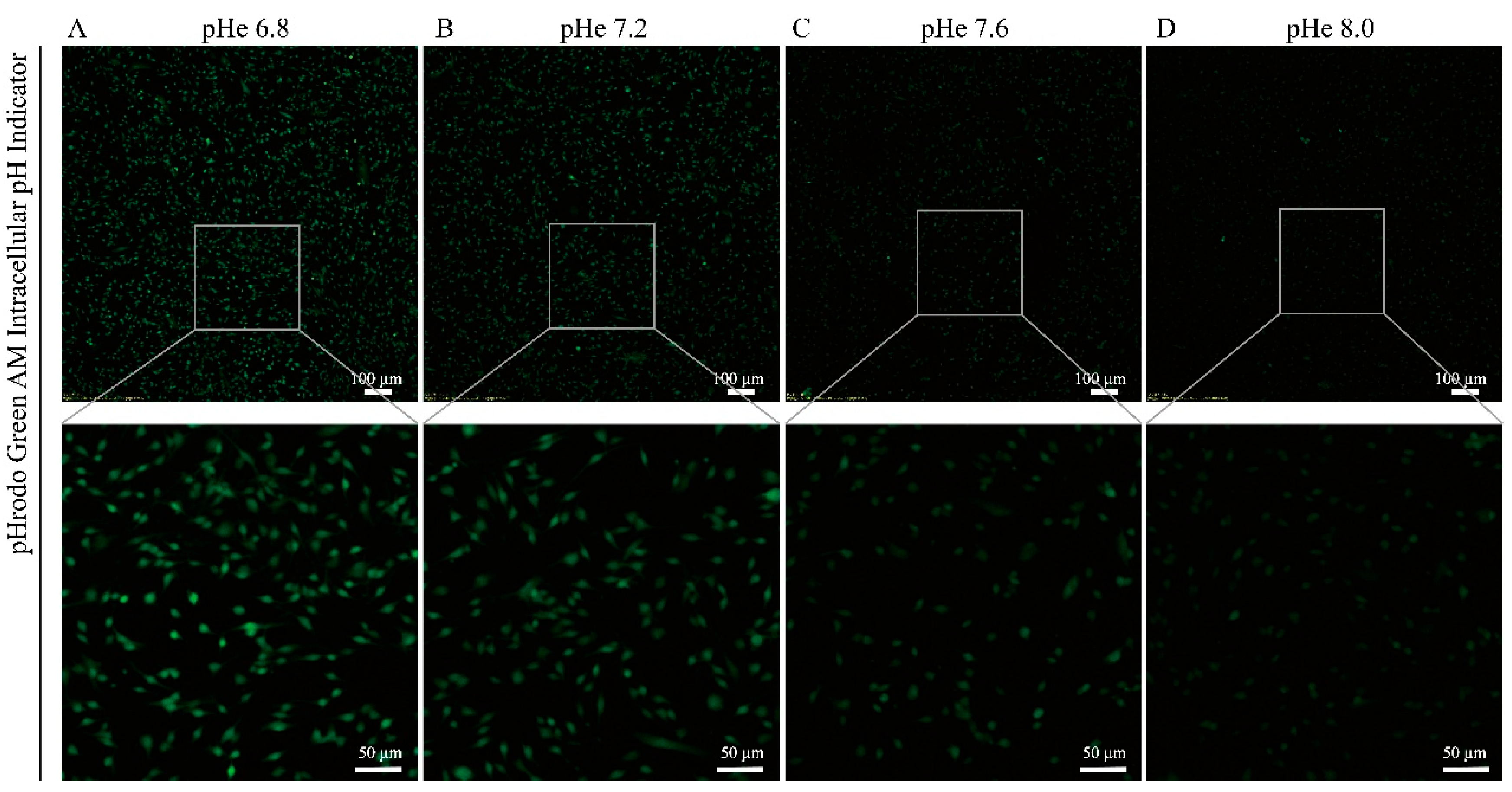 Biomolecules 15 00986 g002