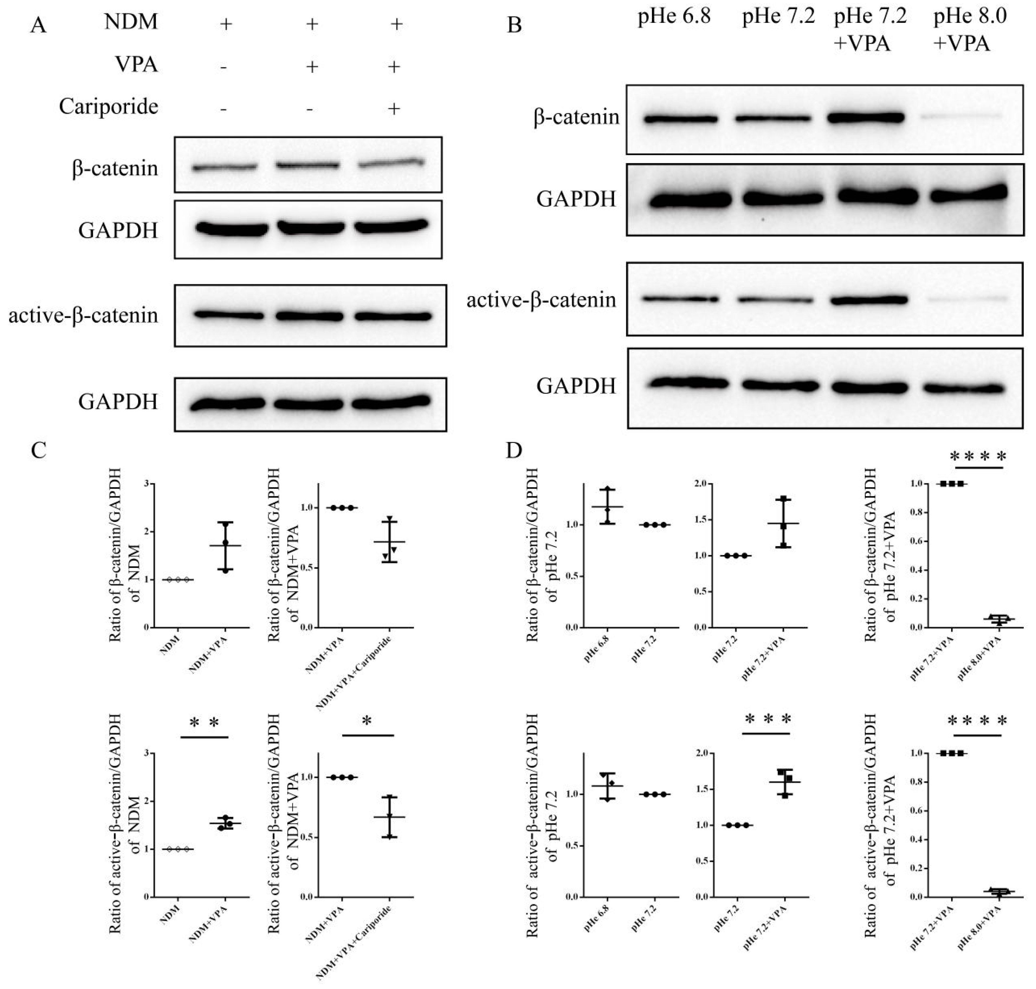 Biomolecules 15 00986 g008