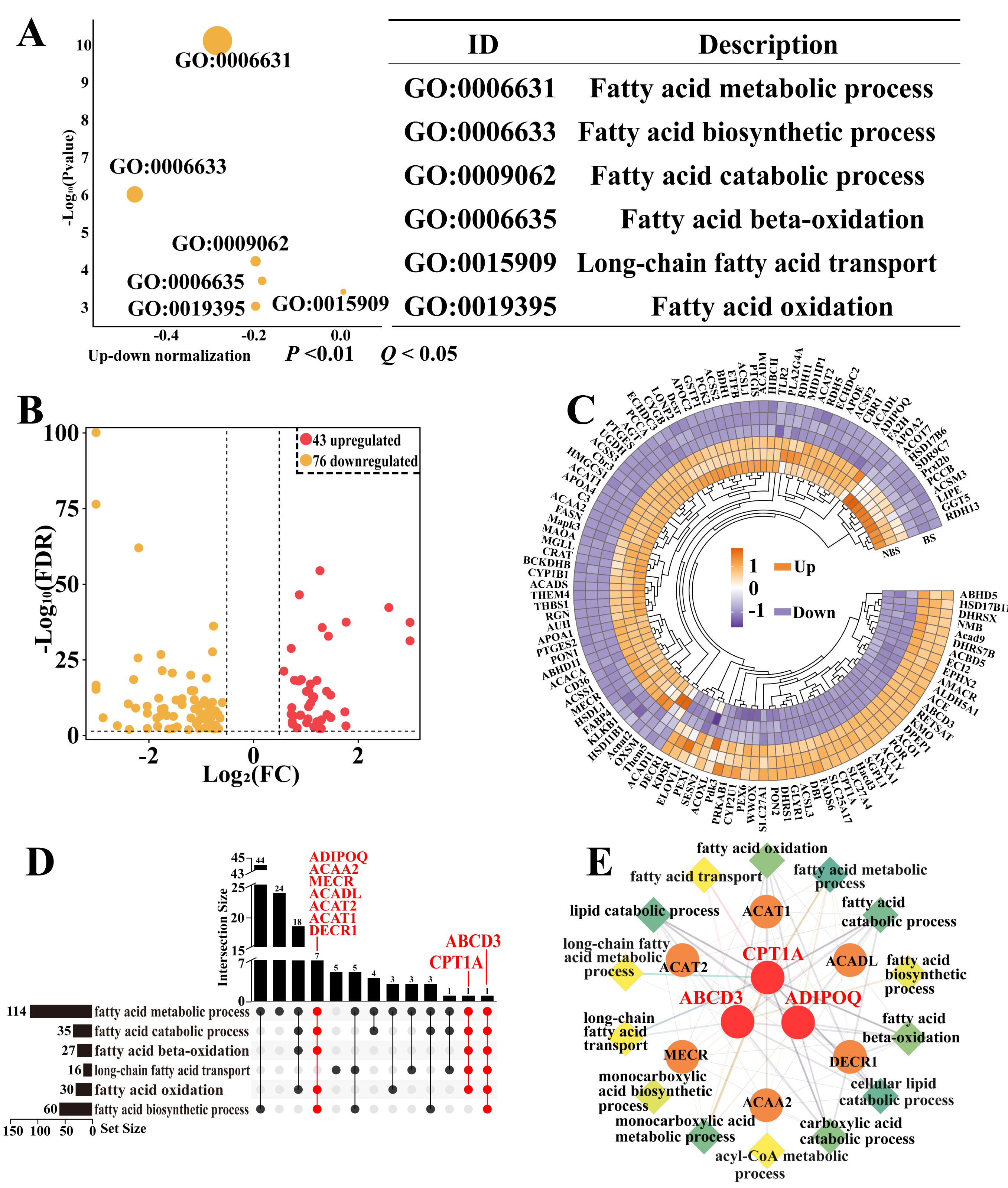 Biomolecules 15 00988 g002