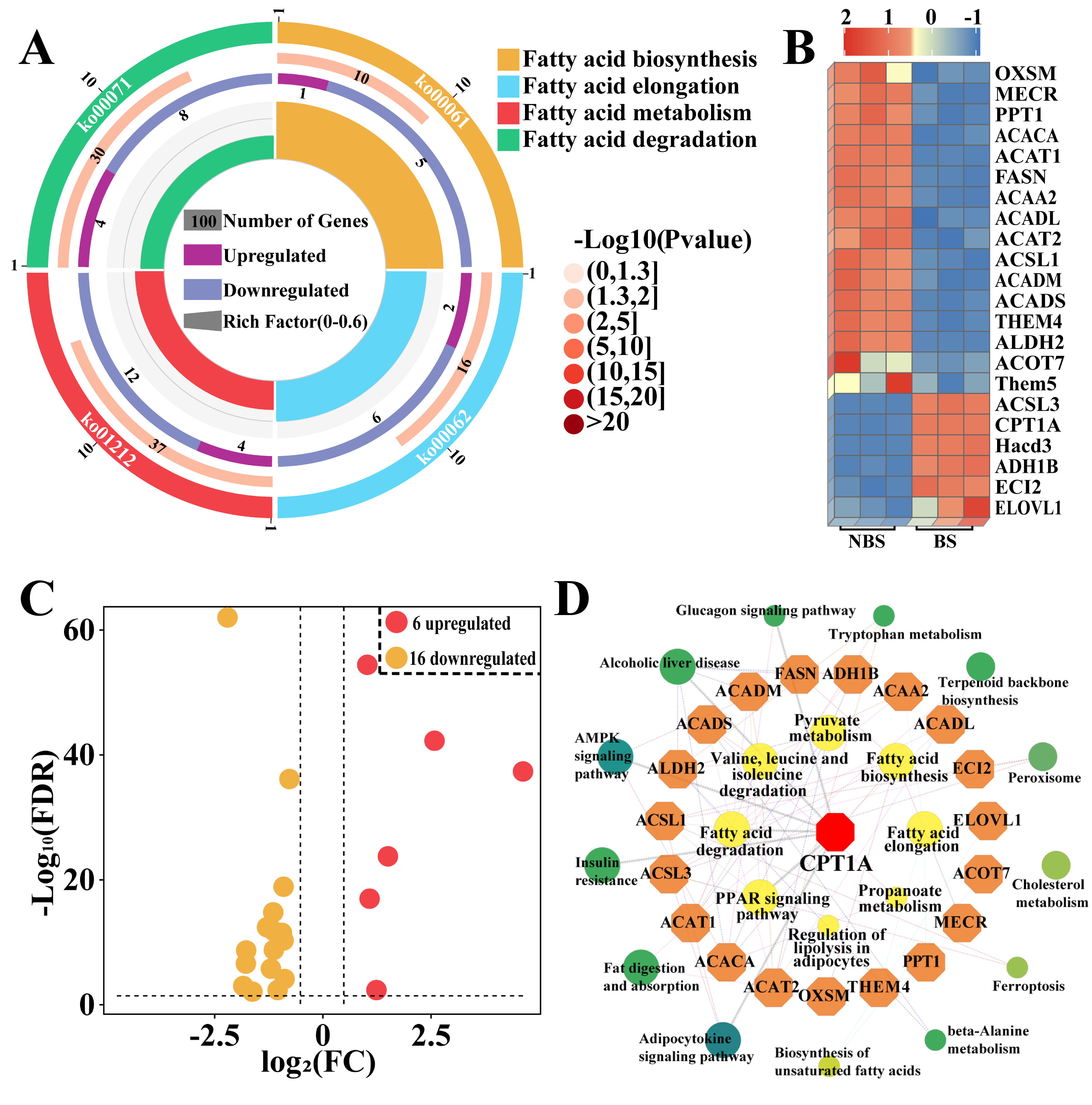Biomolecules 15 00988 g003