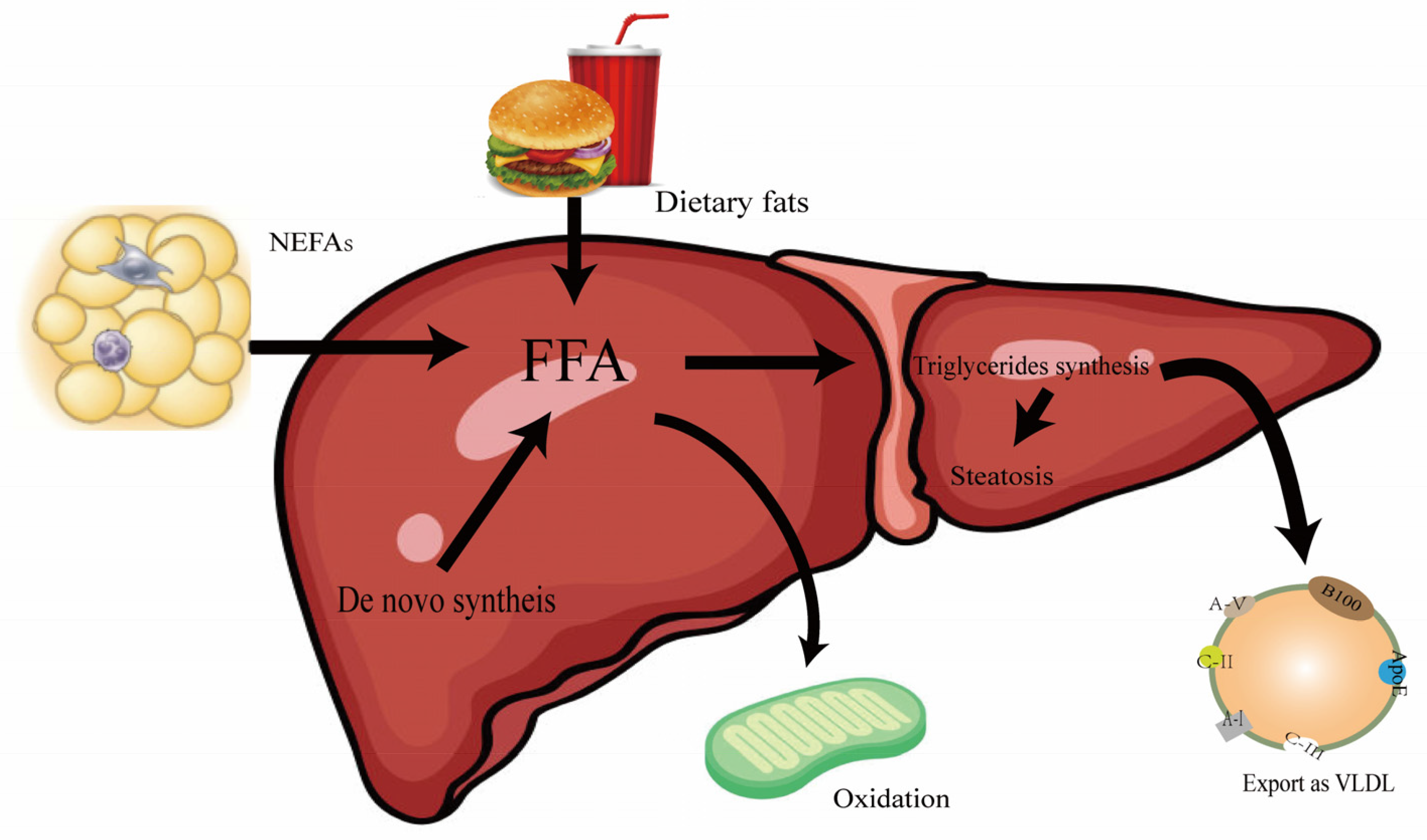 Biomolecules 15 00990 g001 Biomolecules 15 00990 g001