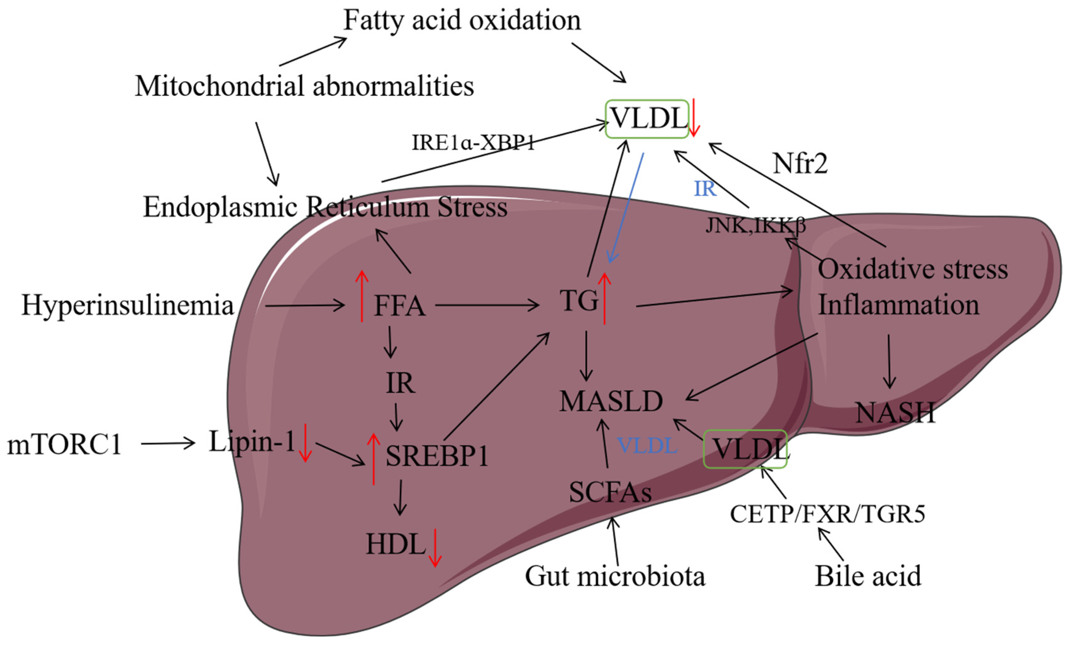 Biomolecules 15 00990 g002 Biomolecules 15 00990 g002