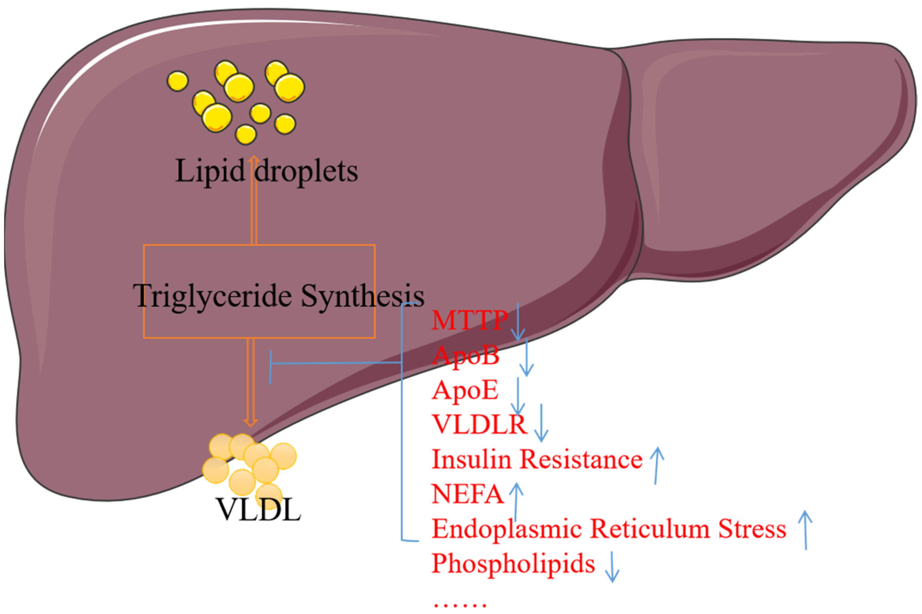 Biomolecules 15 00990 g005 Biomolecules 15 00990 g005