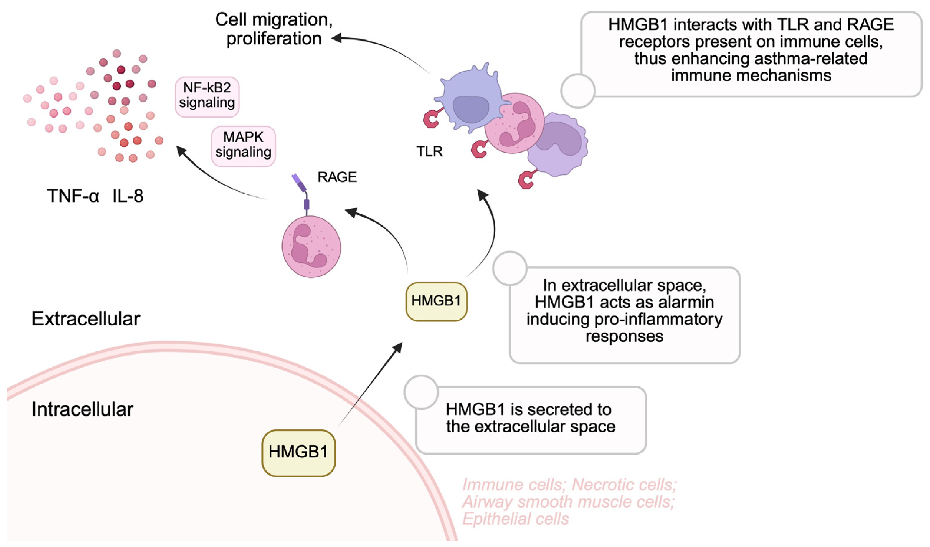 Biomolecules 15 00996 g002
