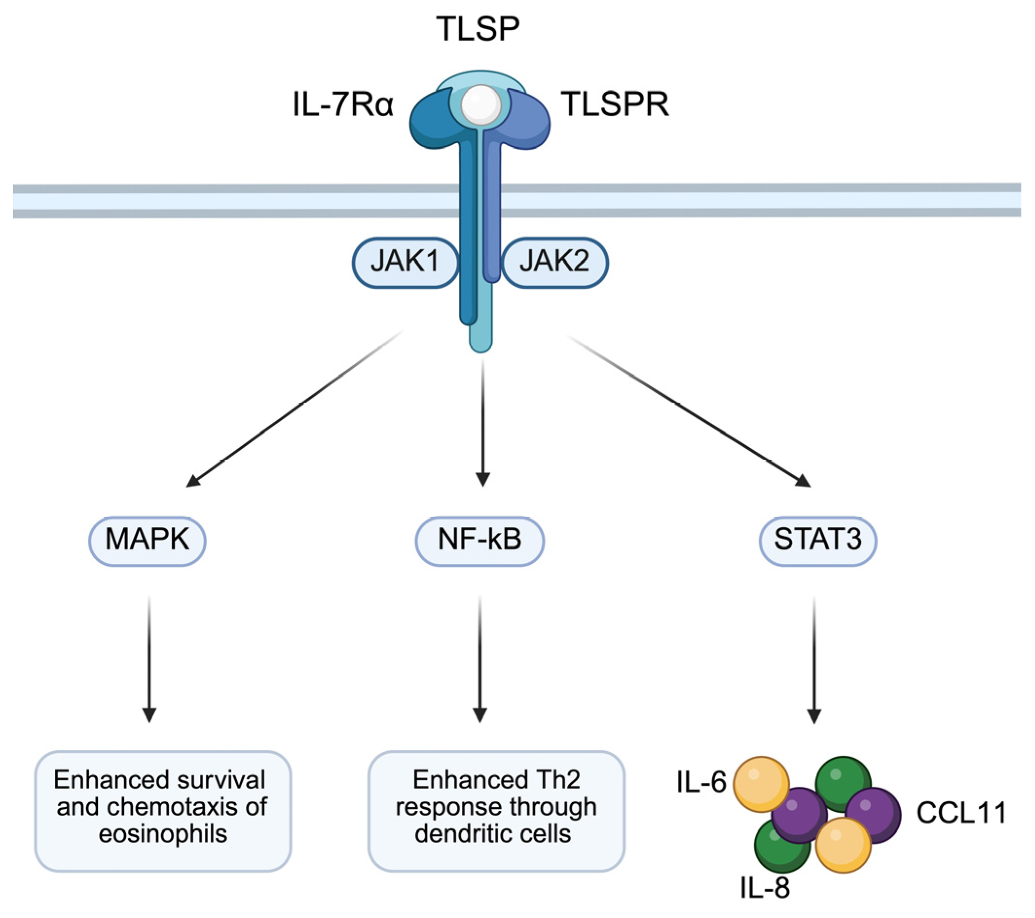 Biomolecules 15 00996 g003