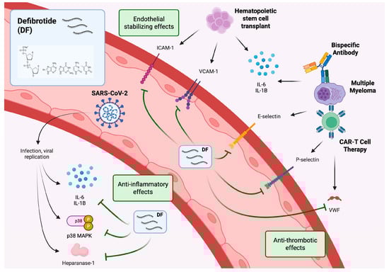 Biomolecules 15 01004 g001