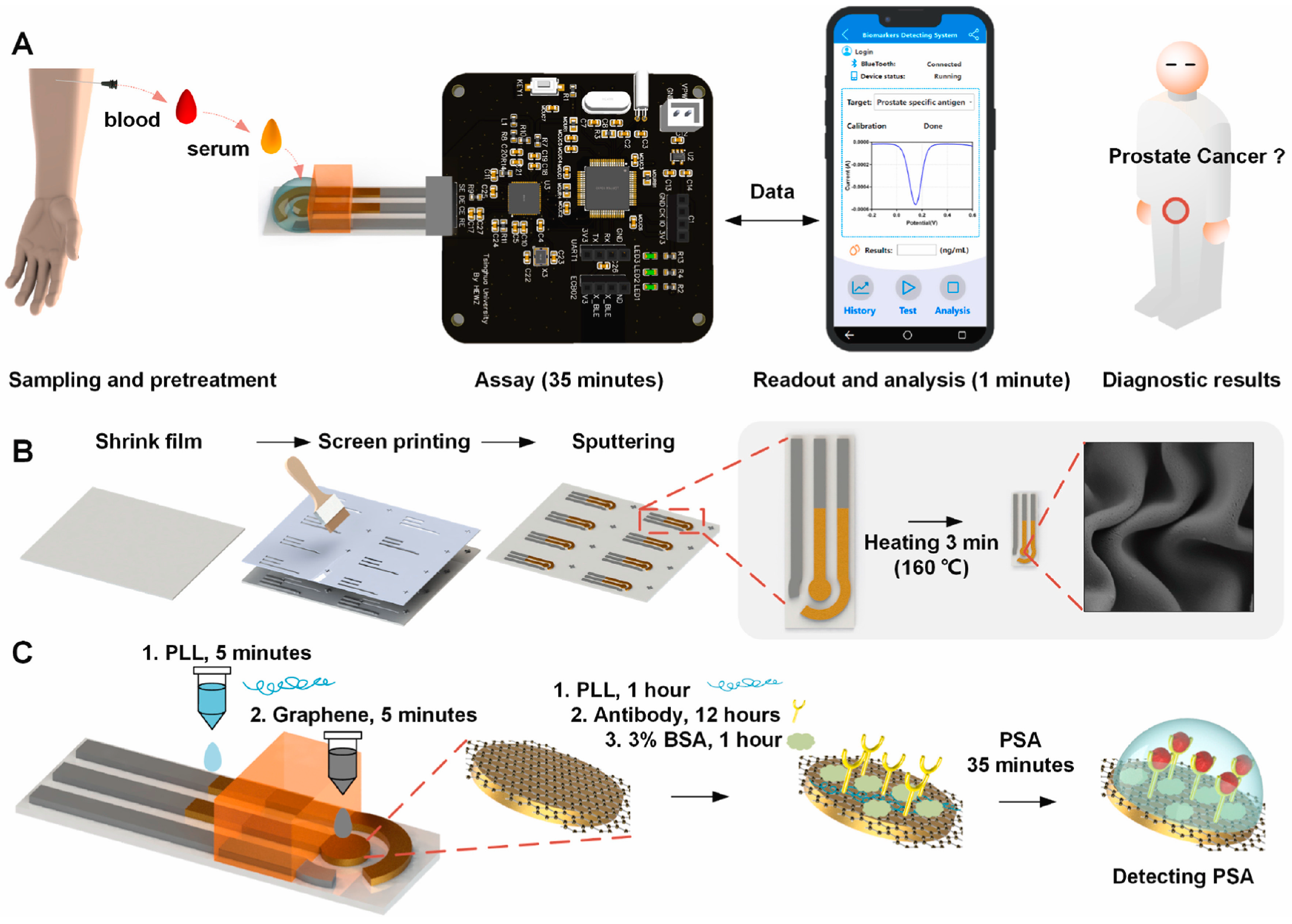 Biomolecules 15 01011 g002