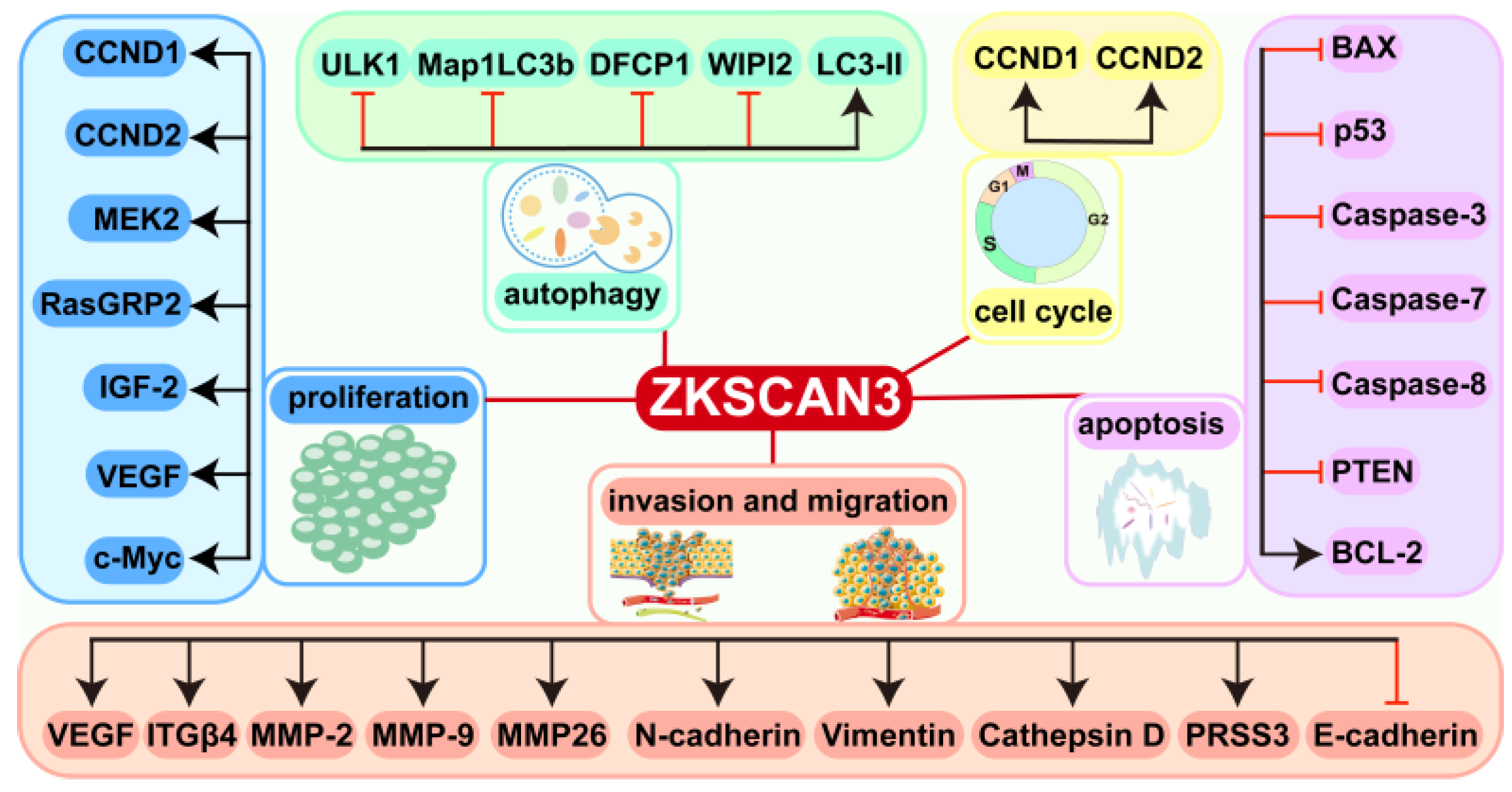 Biomolecules 15 01016 g003