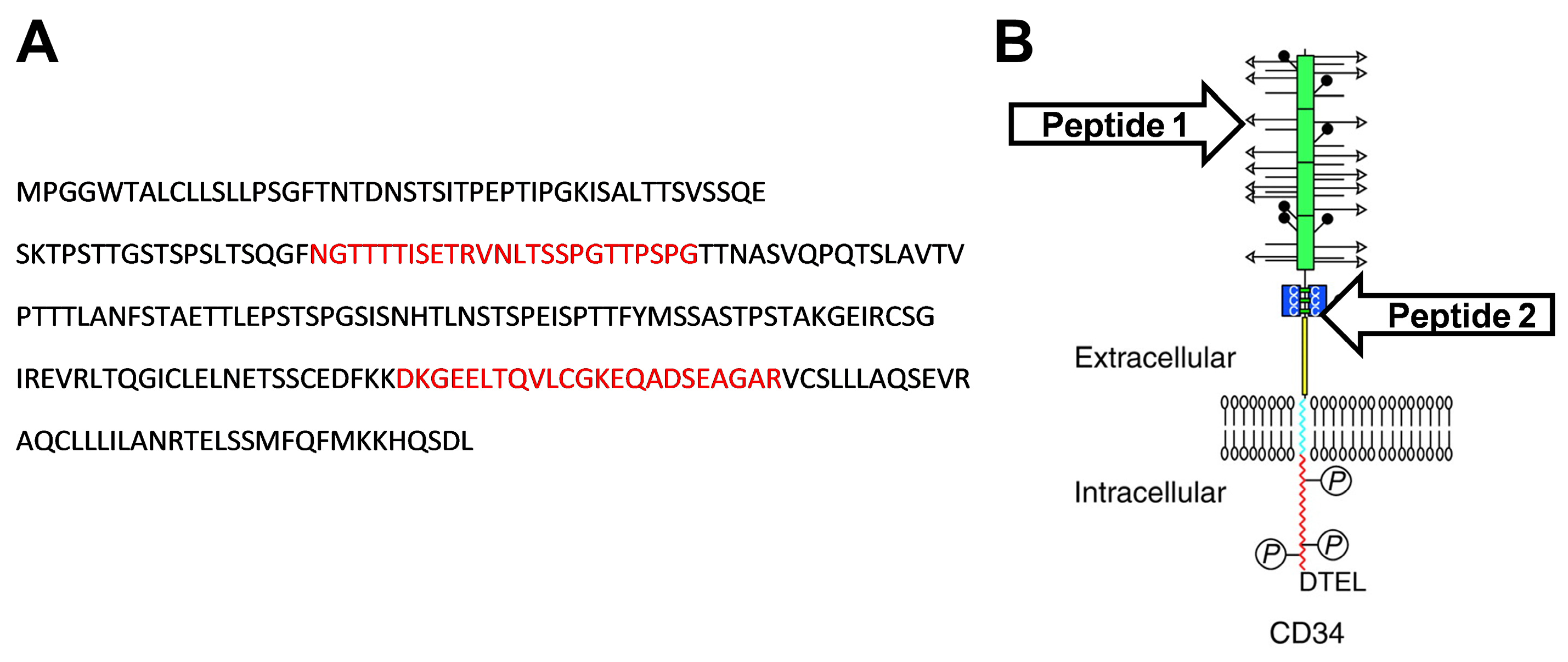 Biomolecules 15 01021 g001