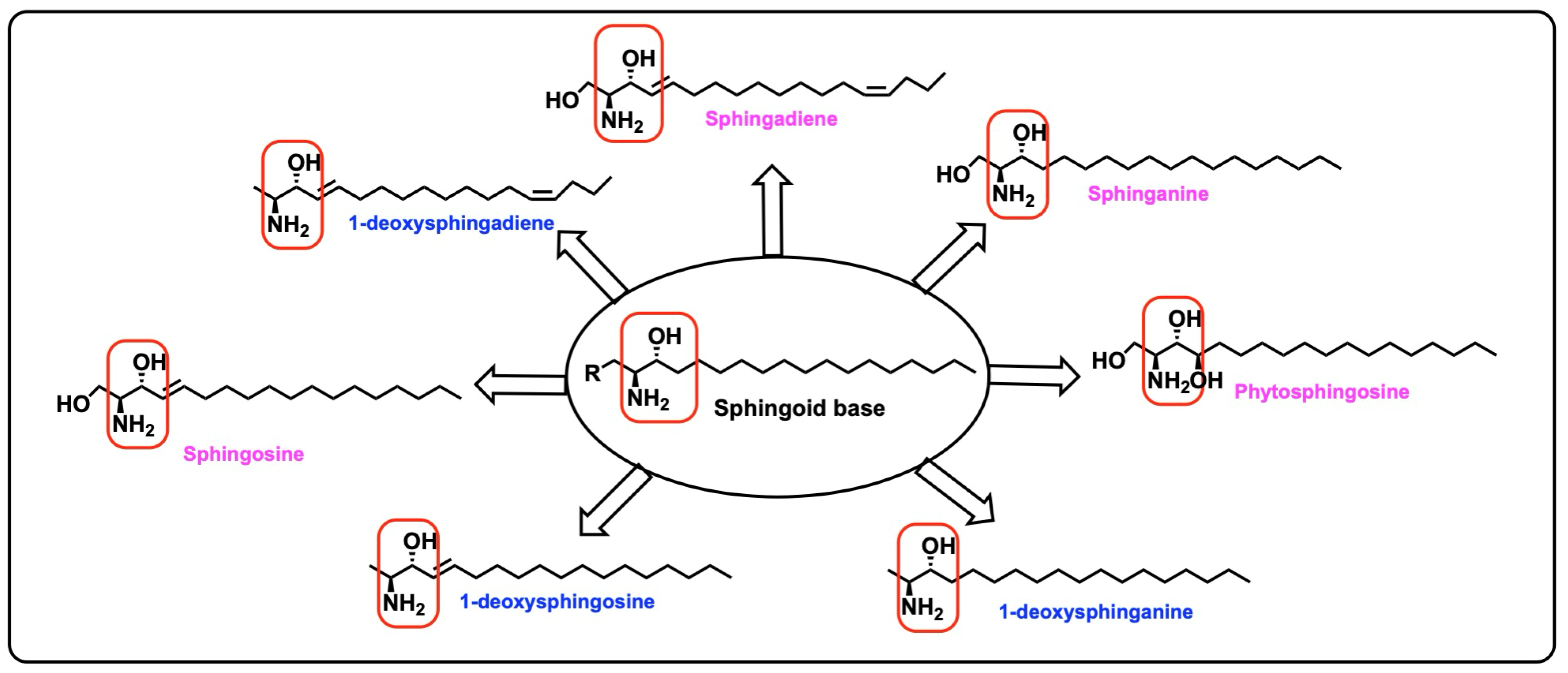 Biomolecules 15 01022 g001