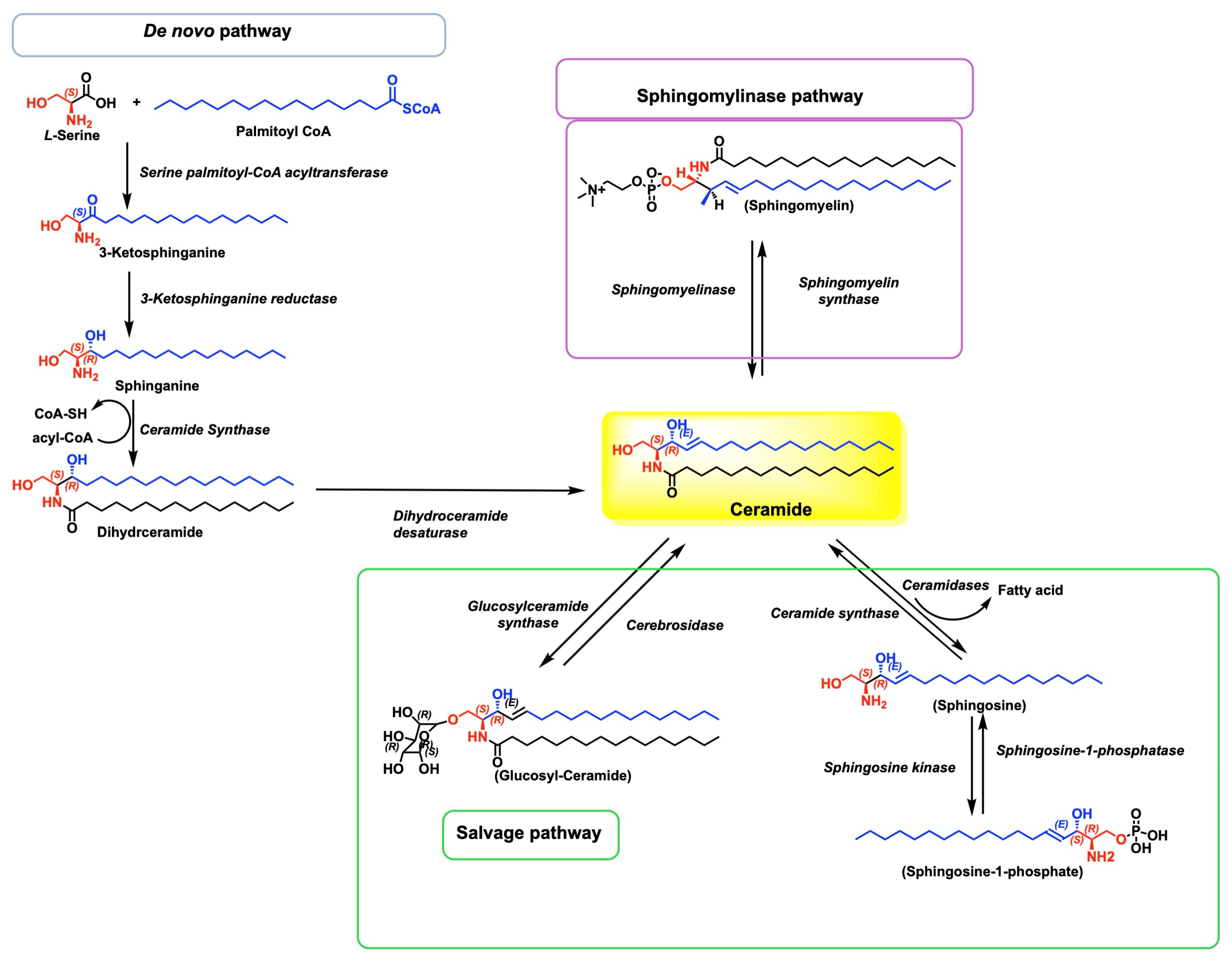 Biomolecules 15 01022 g002