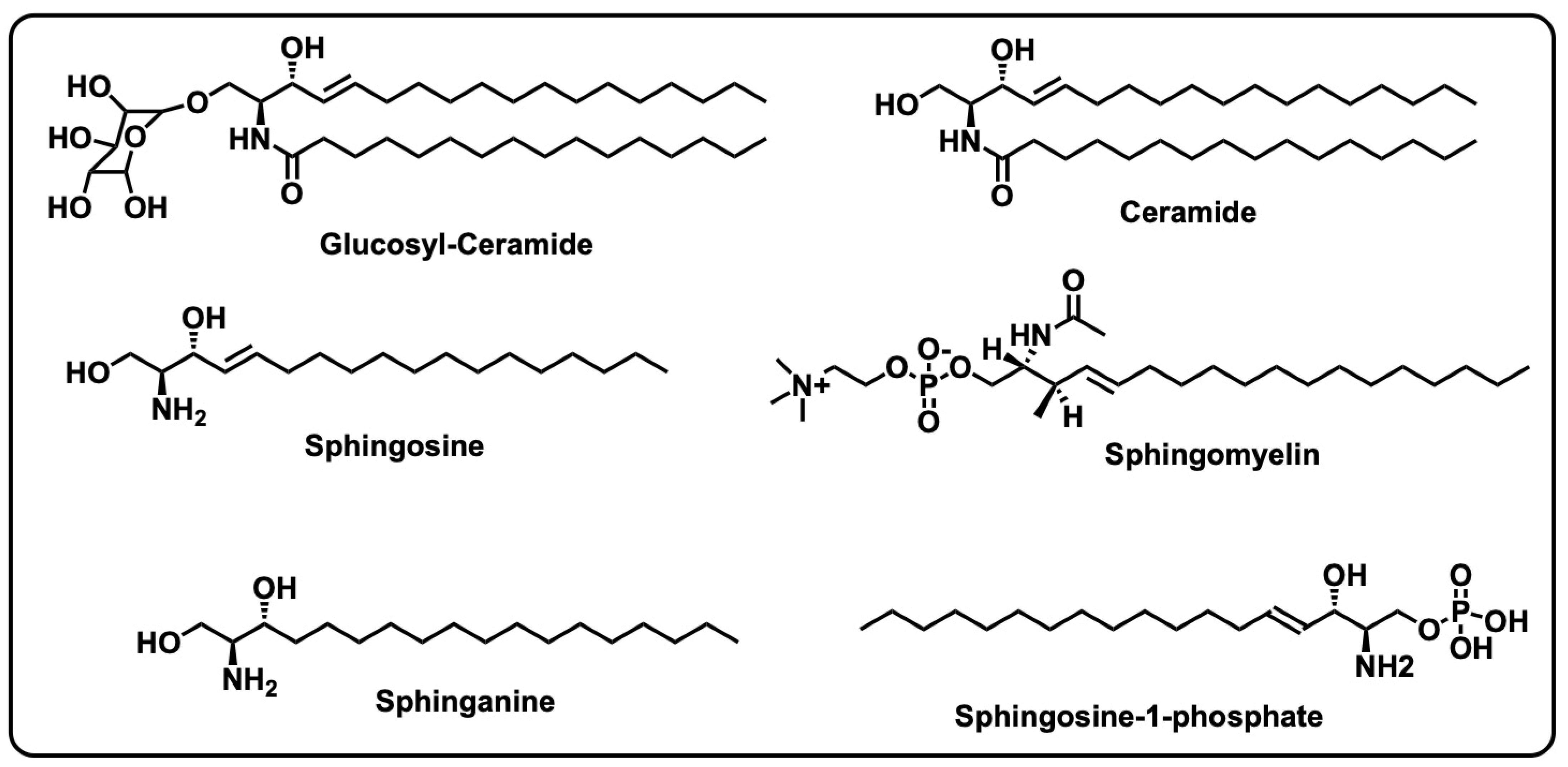 Biomolecules 15 01022 g005