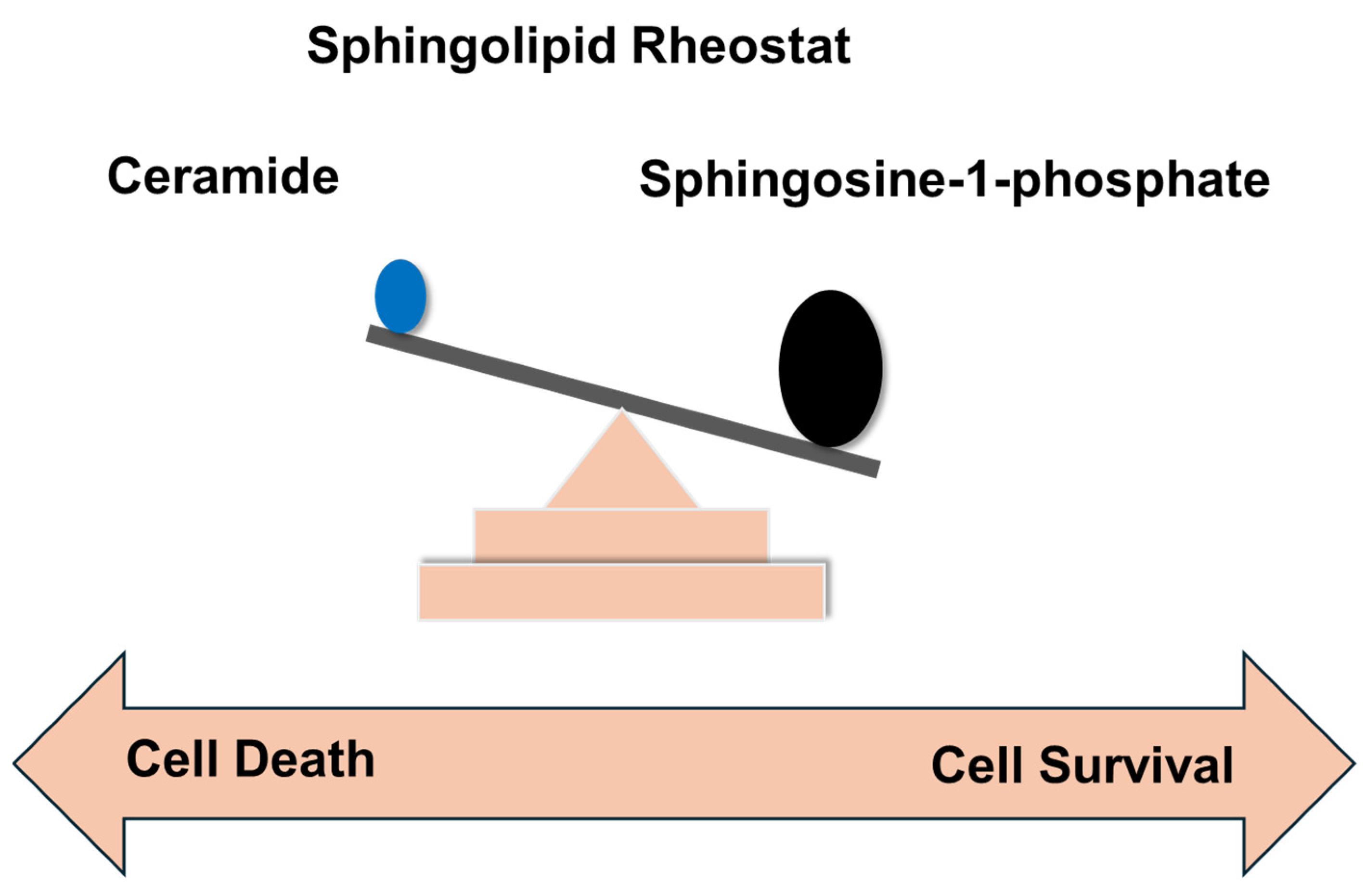 Biomolecules 15 01022 g006