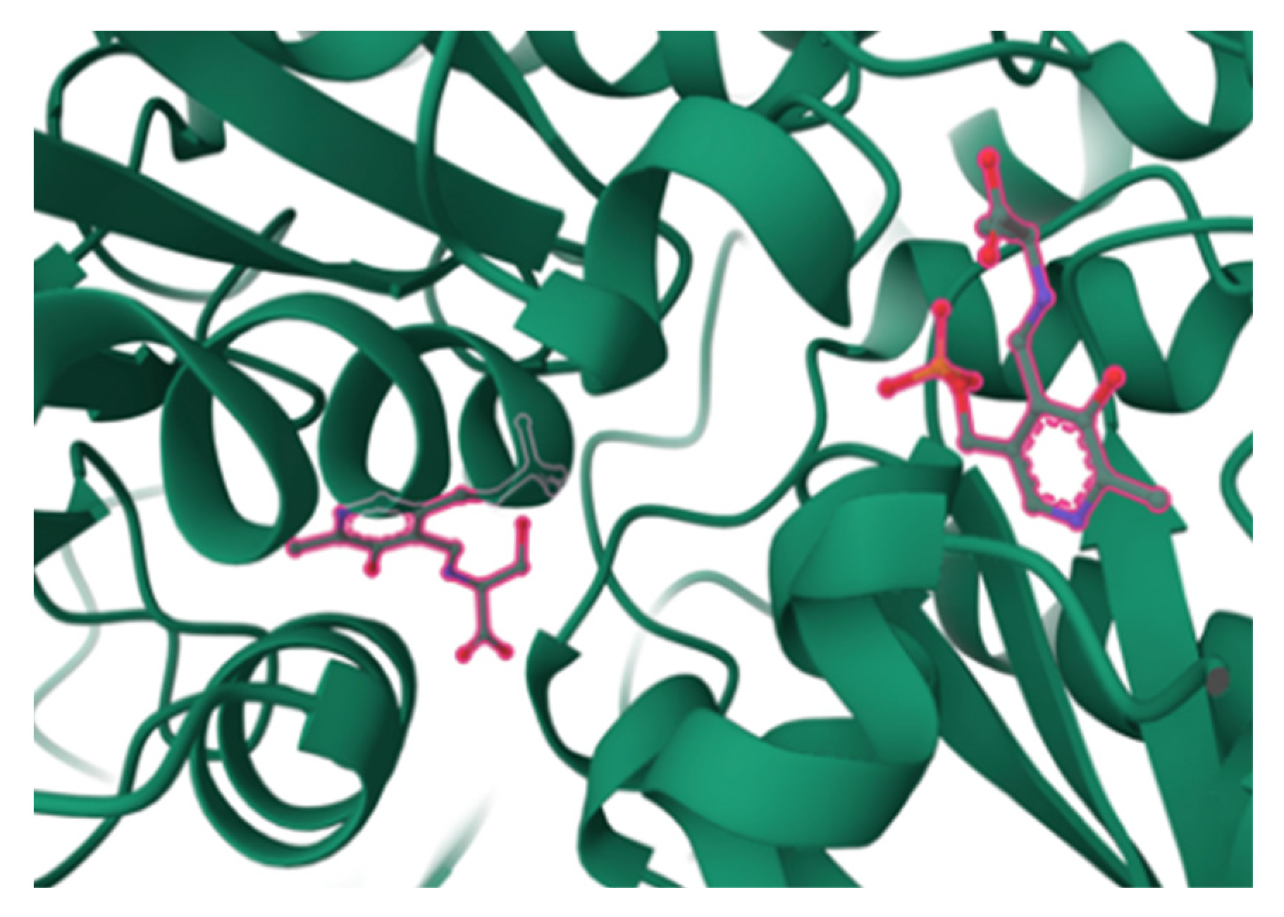Biomolecules 15 01022 g008