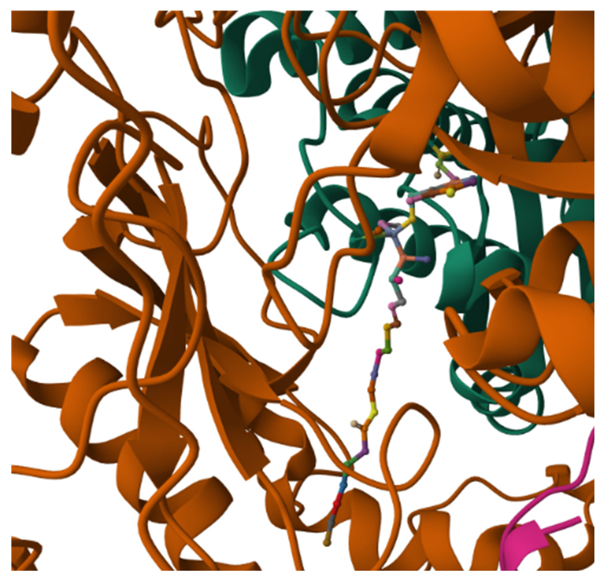 Biomolecules 15 01022 g009