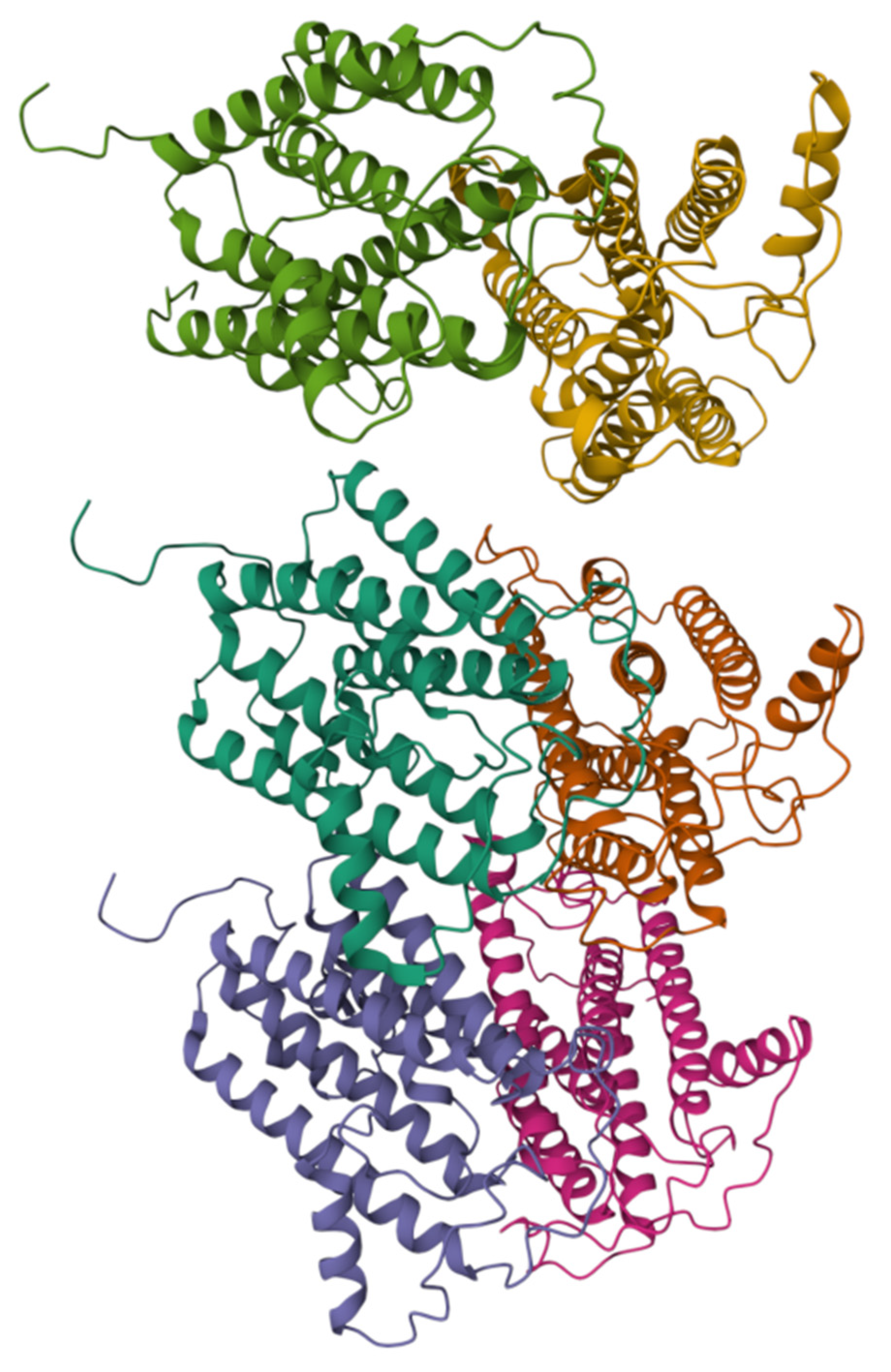 Biomolecules 15 01022 g018