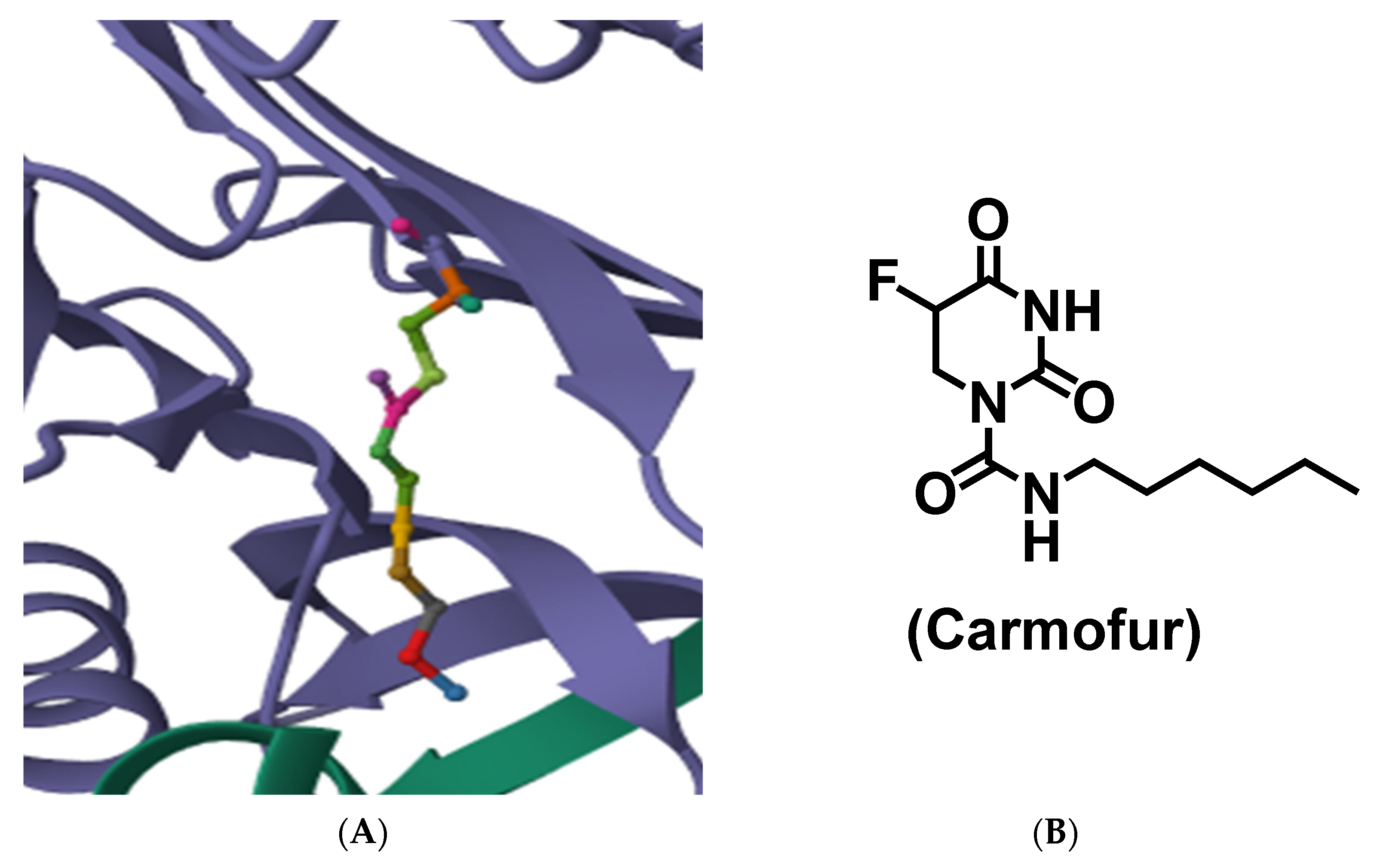 Biomolecules 15 01022 g021