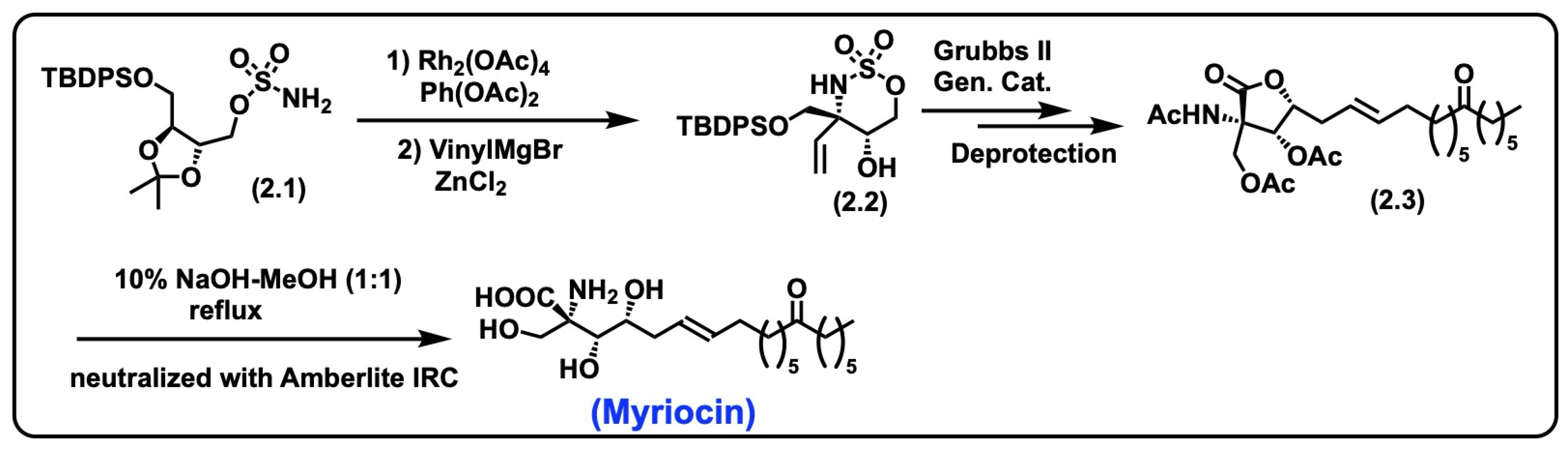 Biomolecules 15 01022 sch002