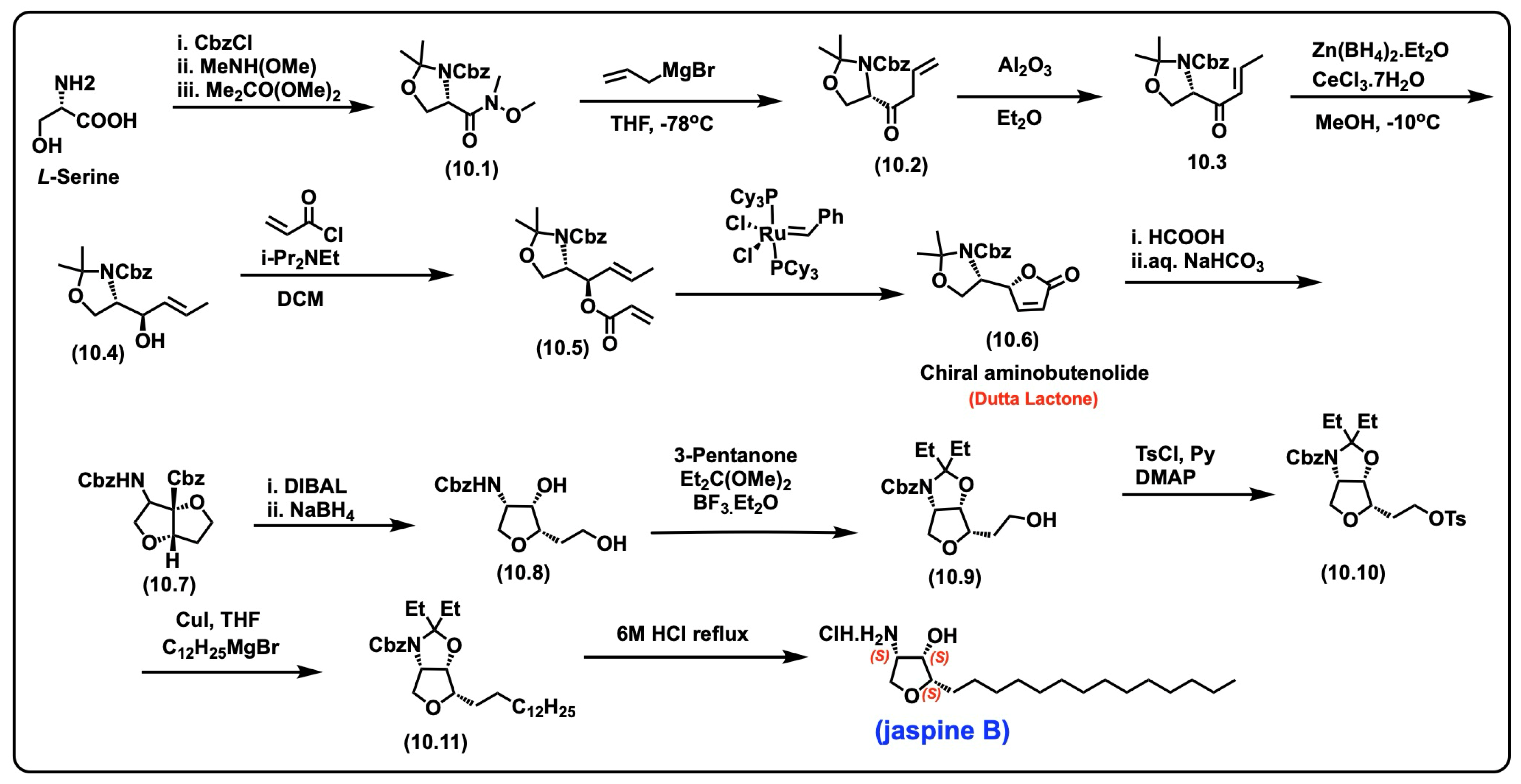 Biomolecules 15 01022 sch010