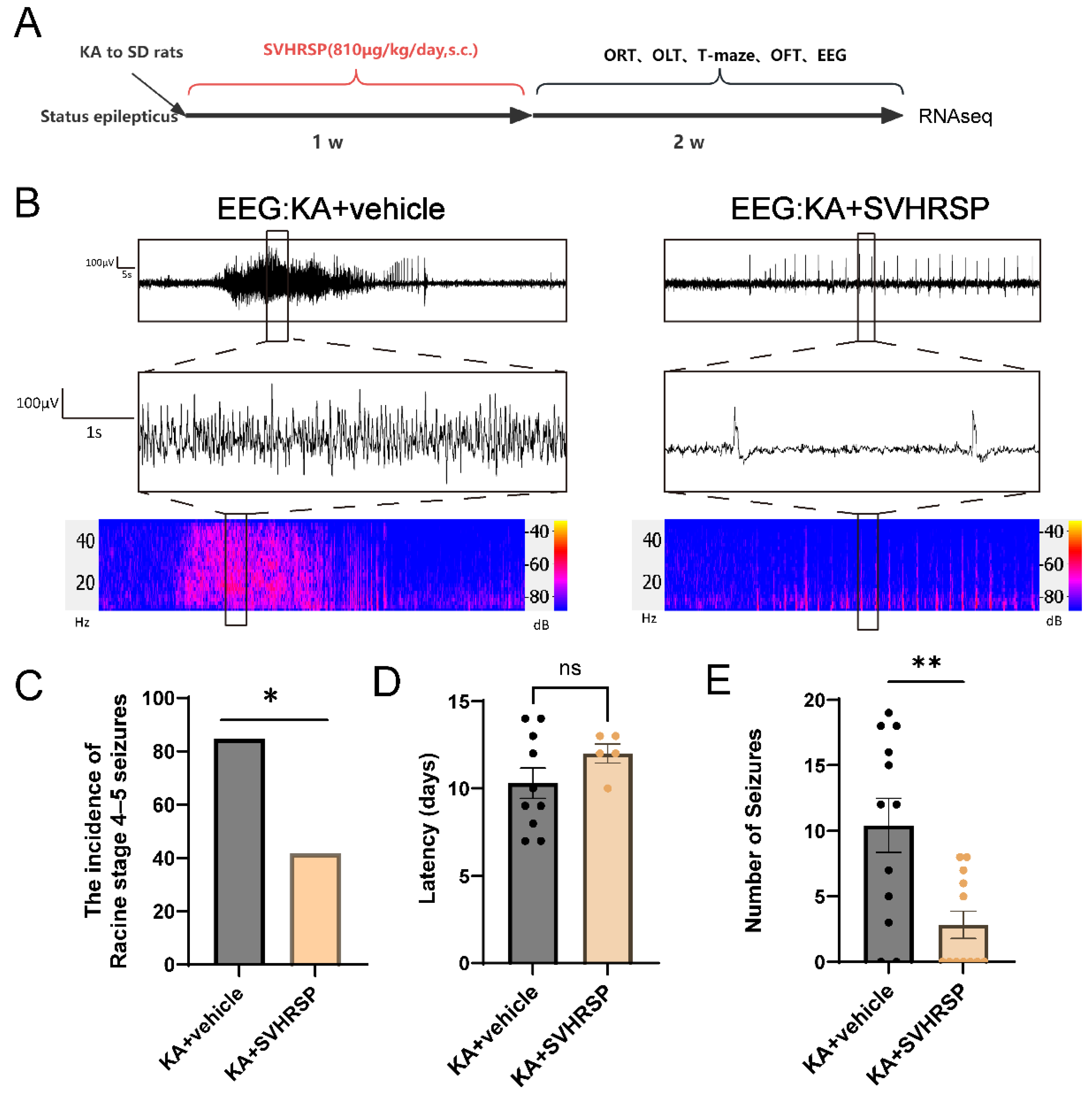 Biomolecules 15 01032 g001