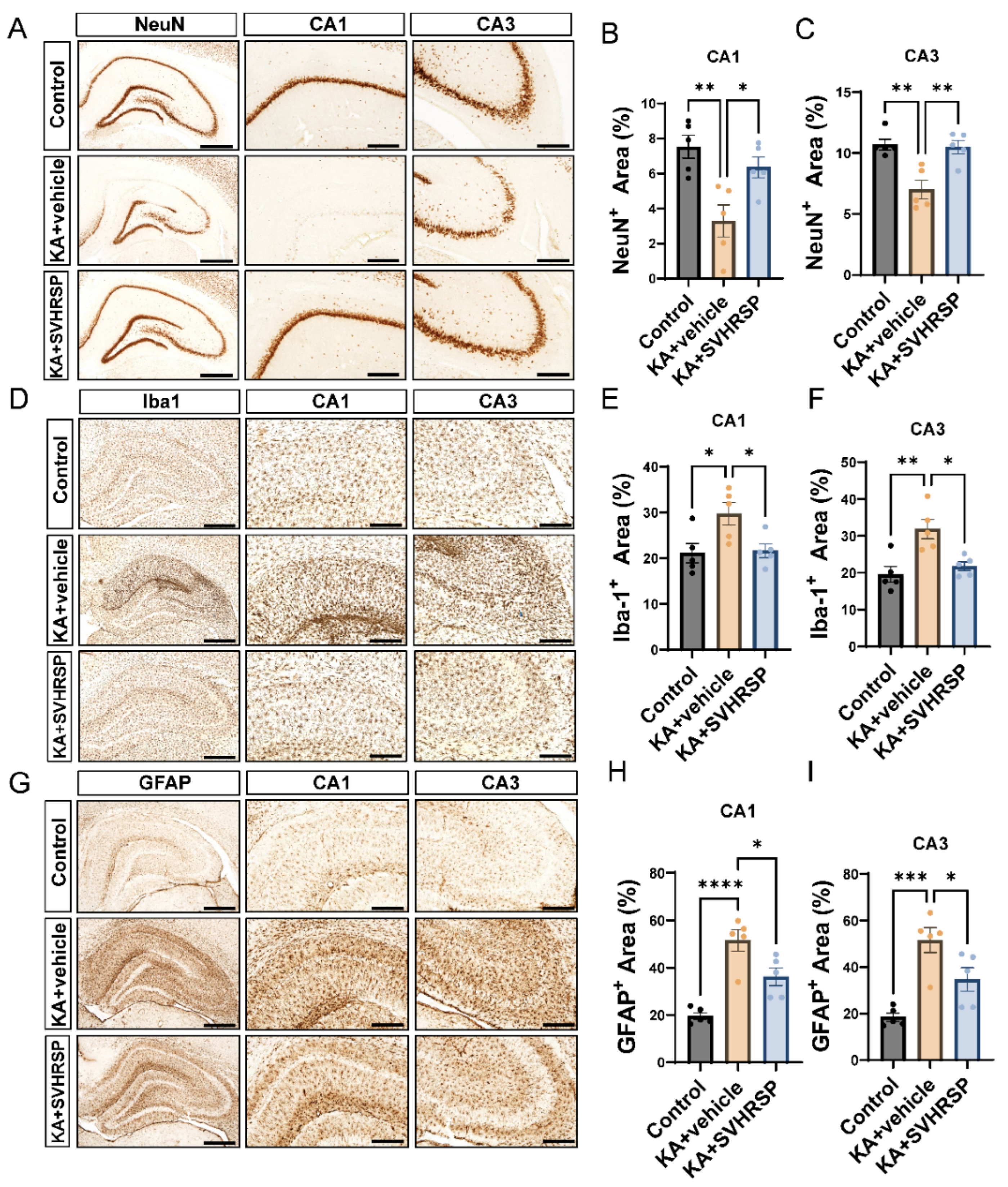 Biomolecules 15 01032 g003