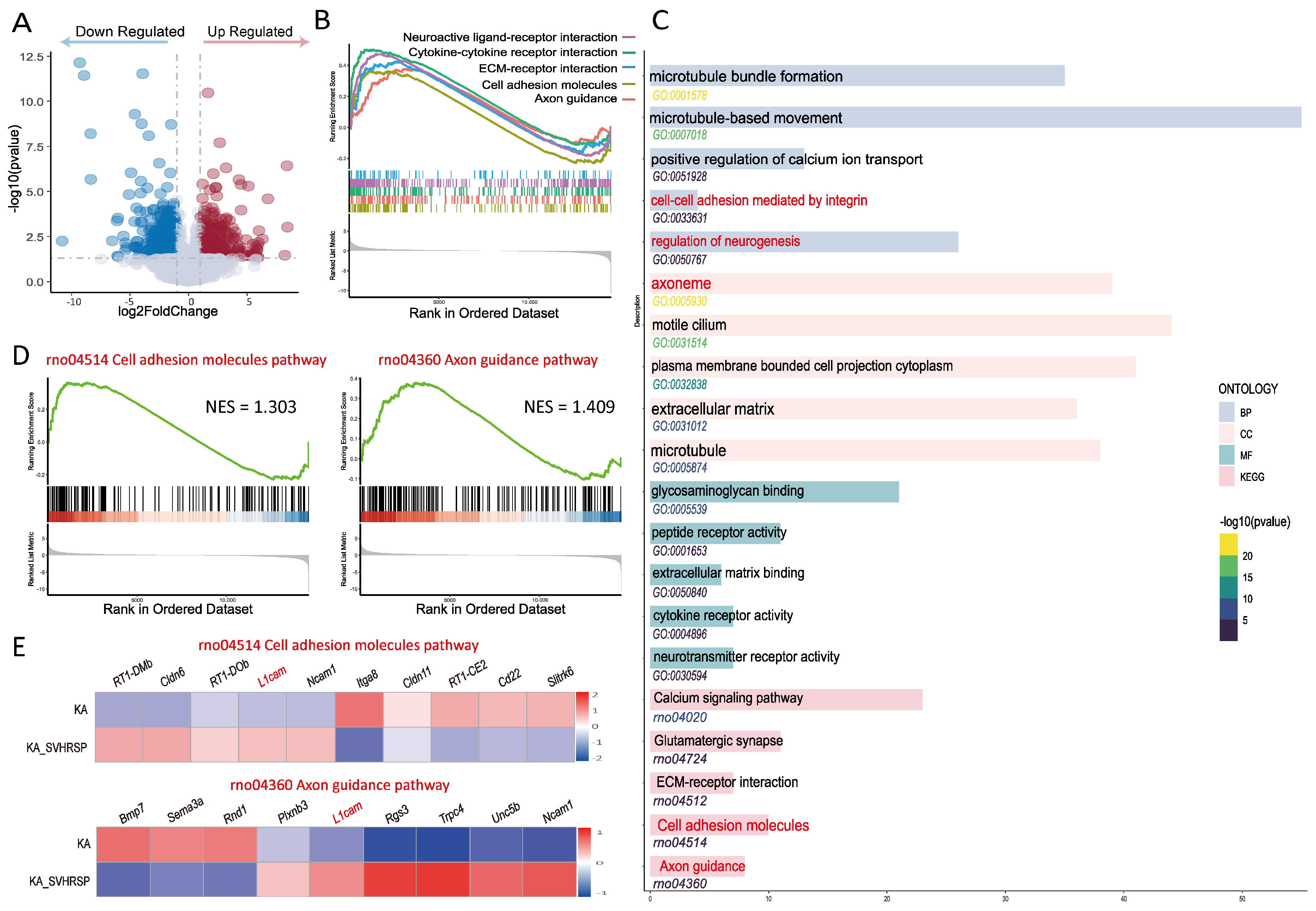 Biomolecules 15 01032 g004