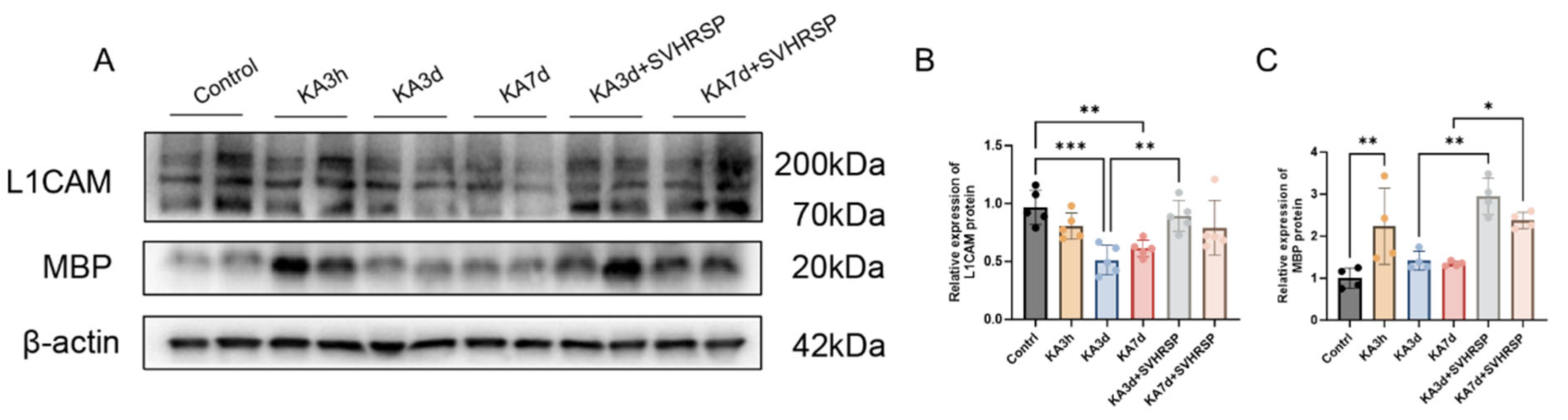 Biomolecules 15 01032 g006