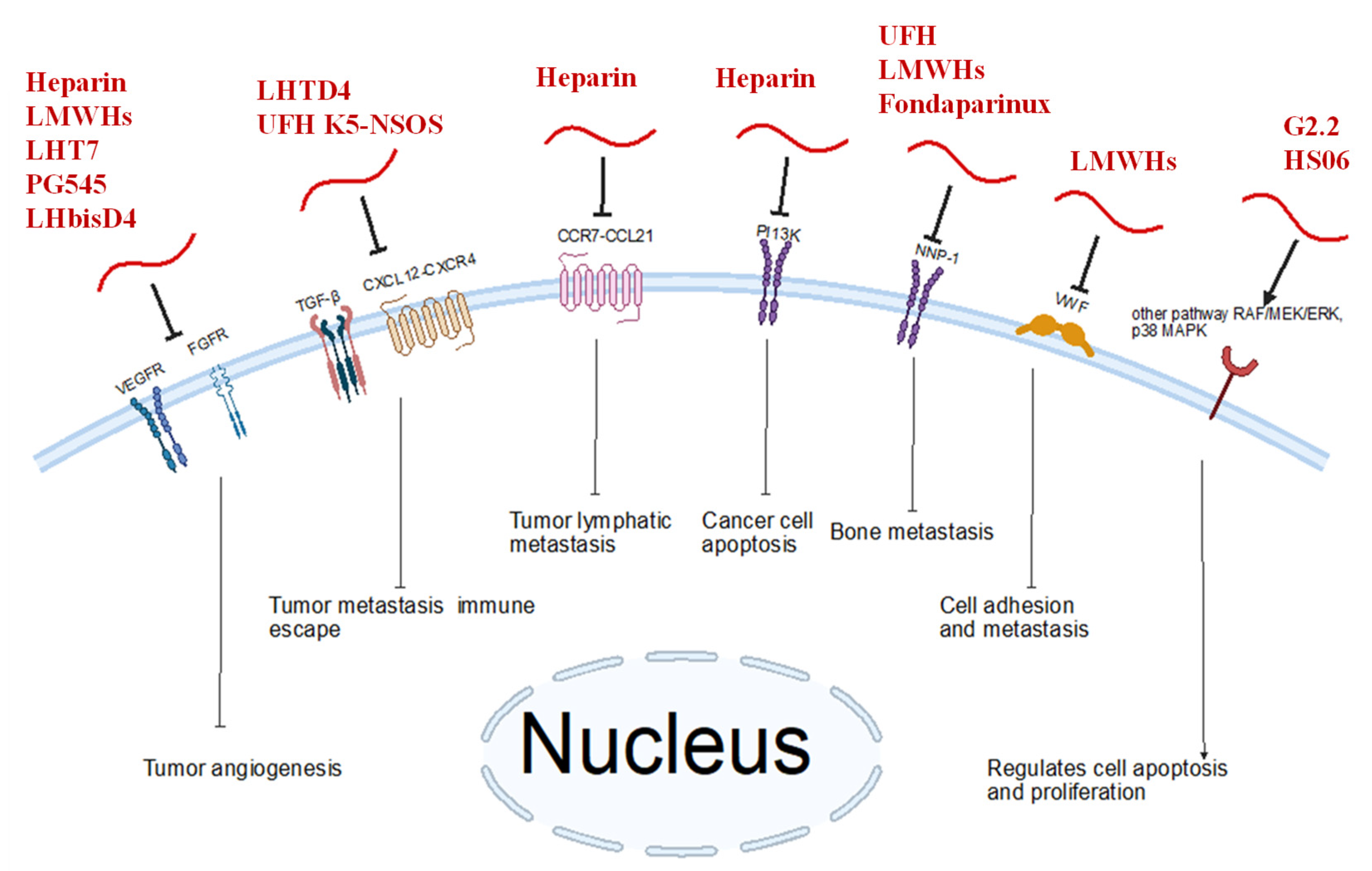 Biomolecules 15 01034 g002