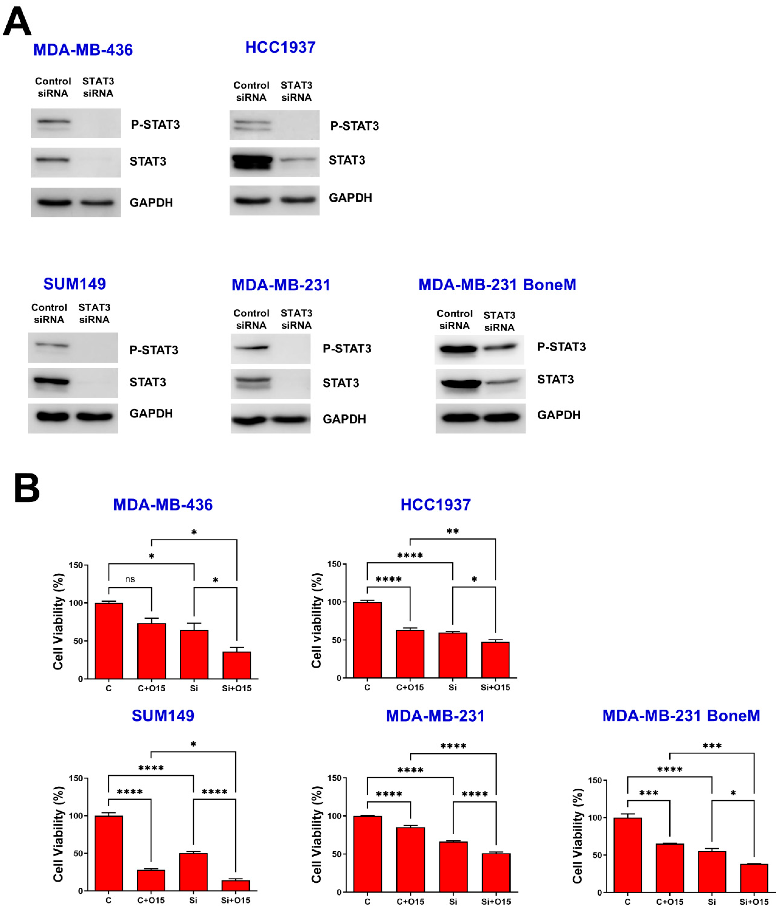 Biomolecules 15 01035 g002