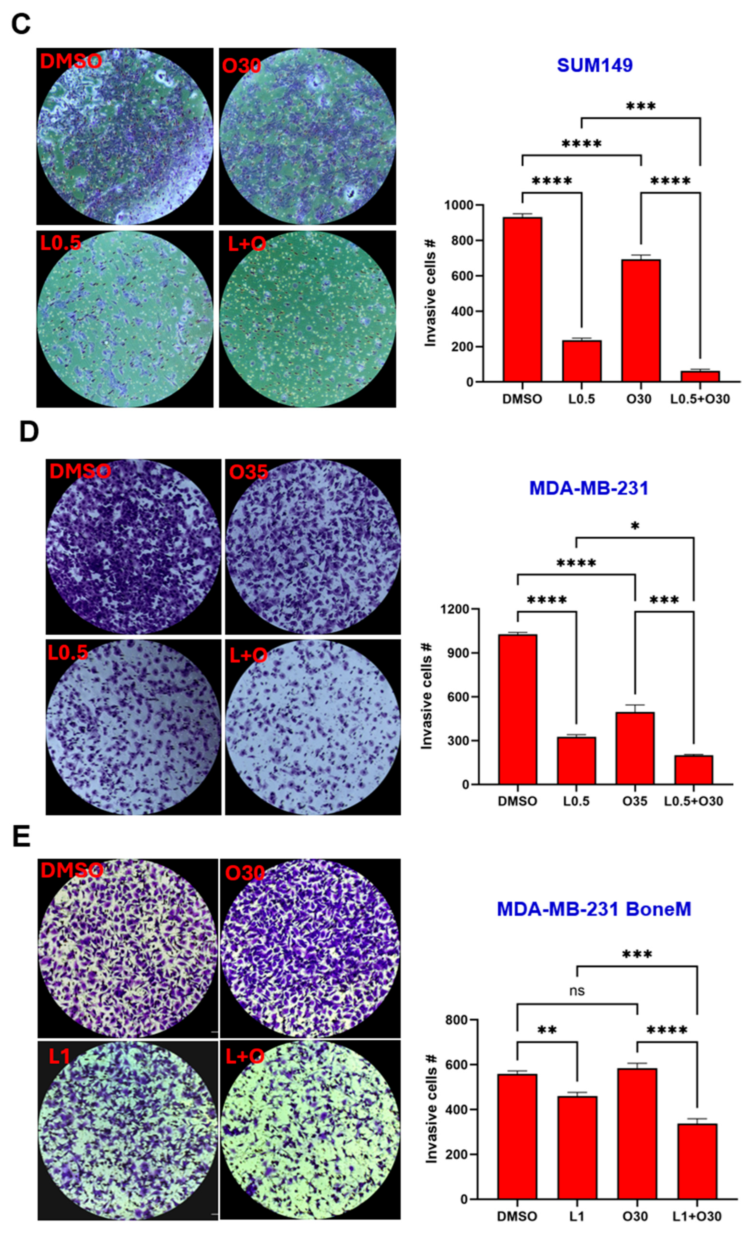 Biomolecules 15 01035 g006b