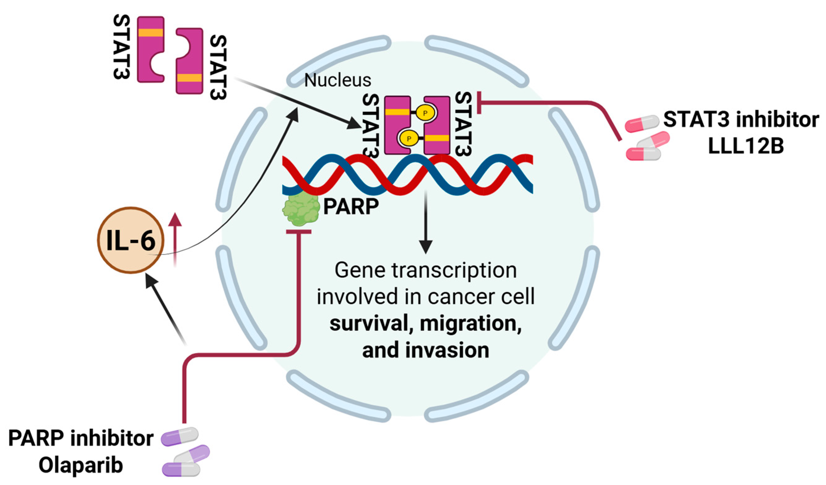 Biomolecules 15 01035 g007
