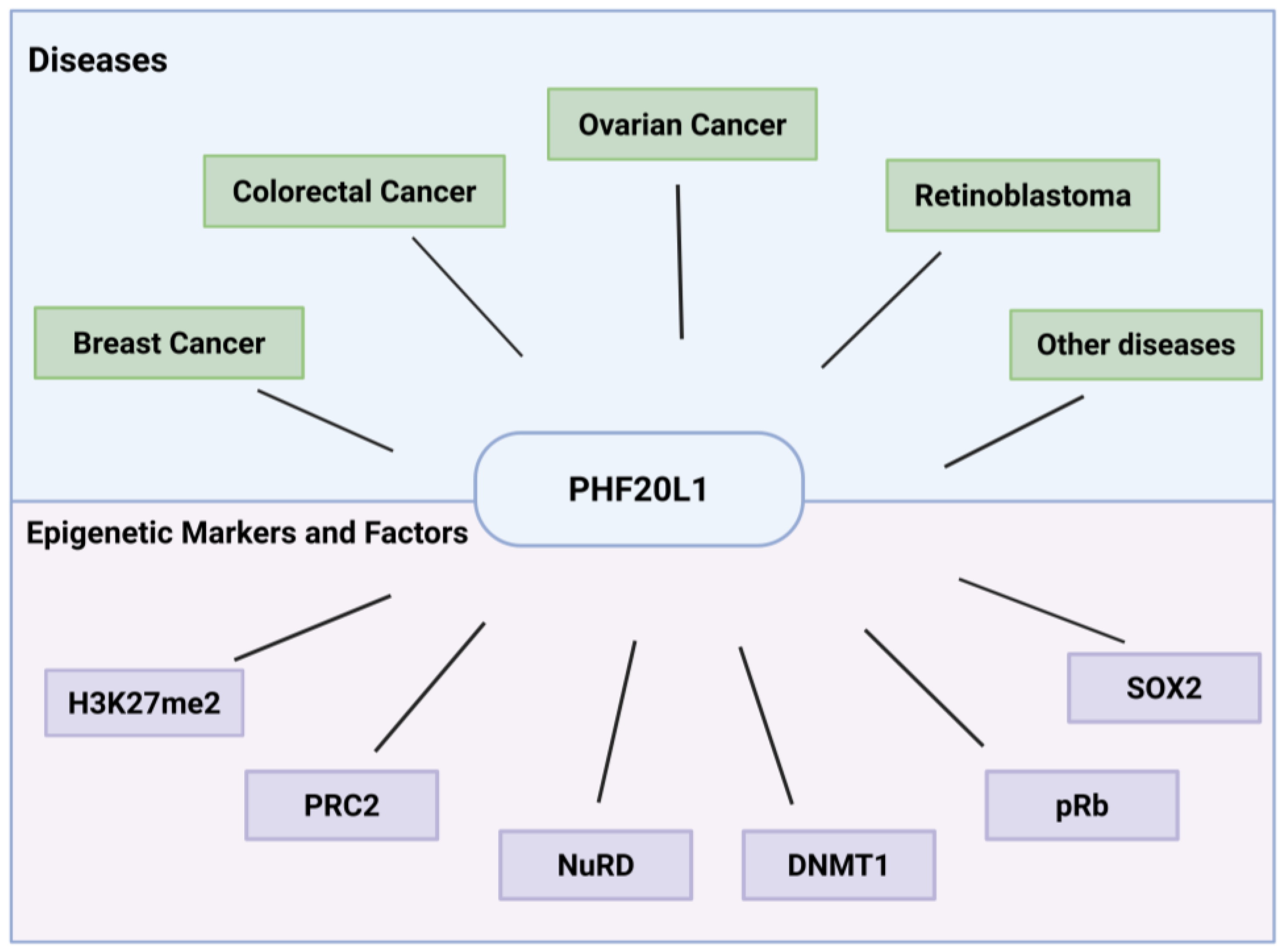 Biomolecules 15 01048 g001