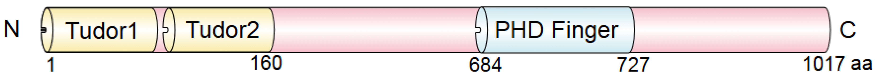 Biomolecules 15 01048 g002