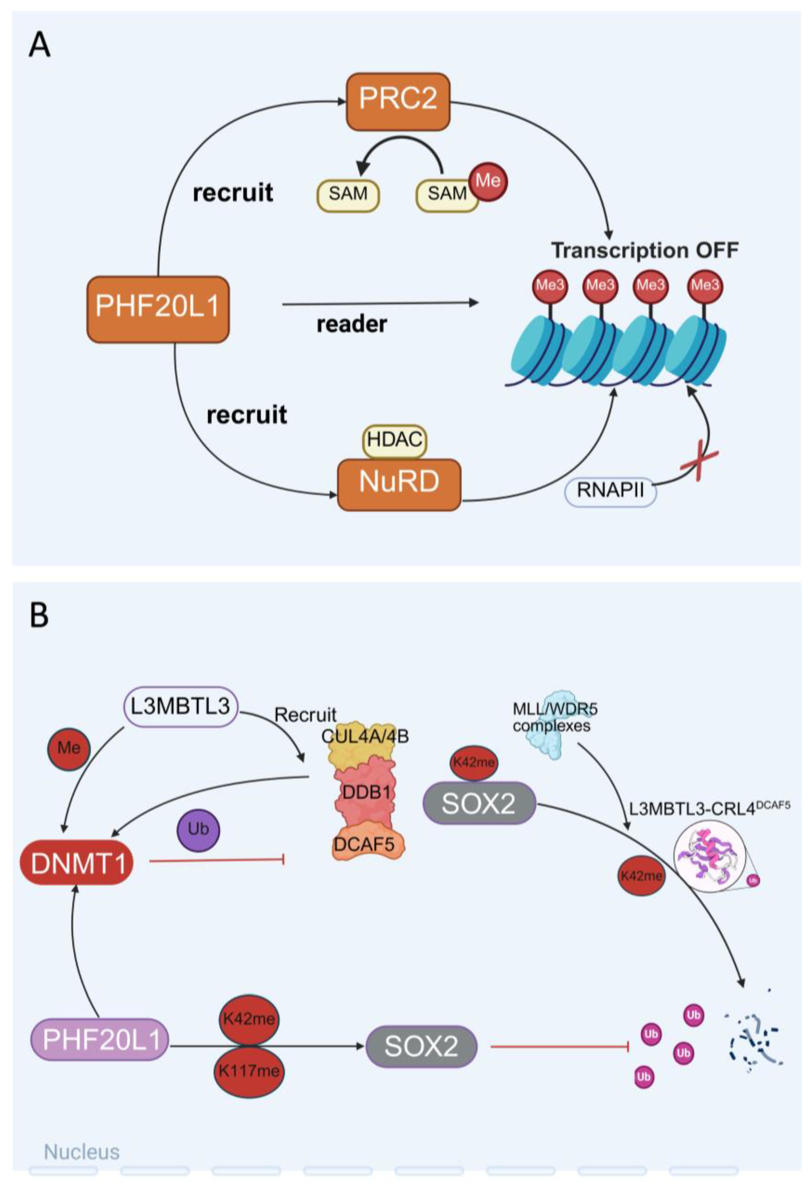 Biomolecules 15 01048 g003