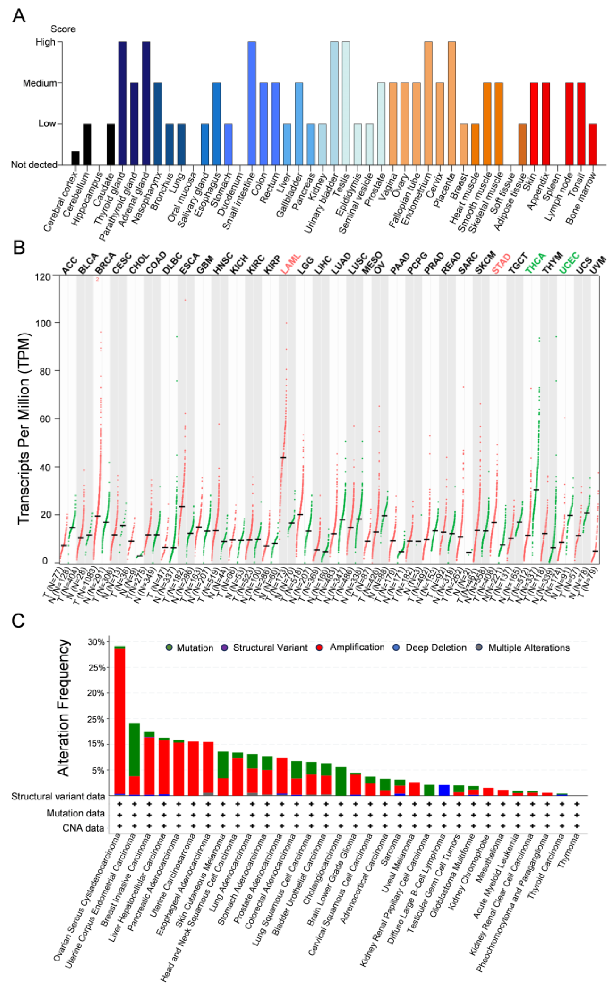 Biomolecules 15 01048 g004